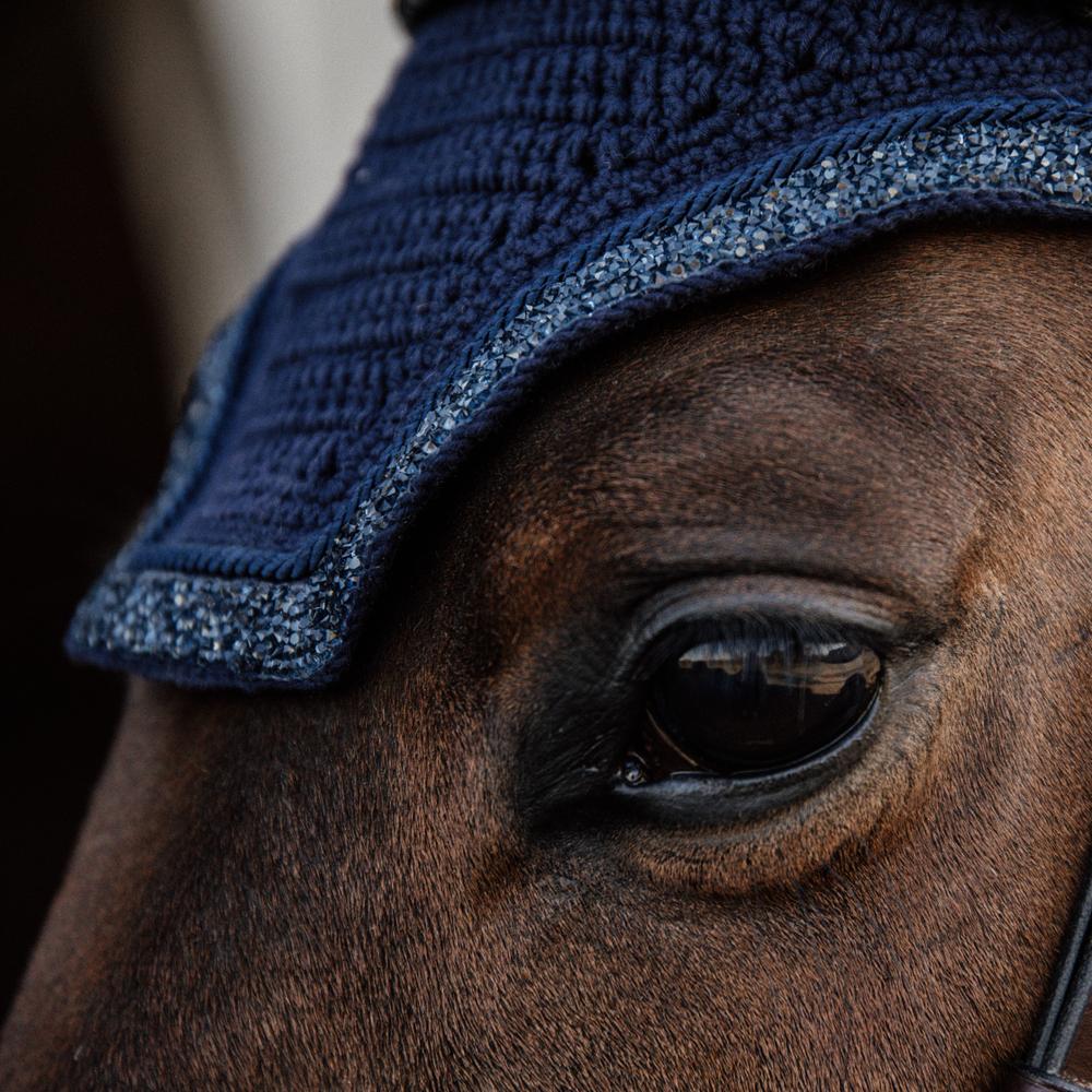 Fliegenhaube Wellington Glitter