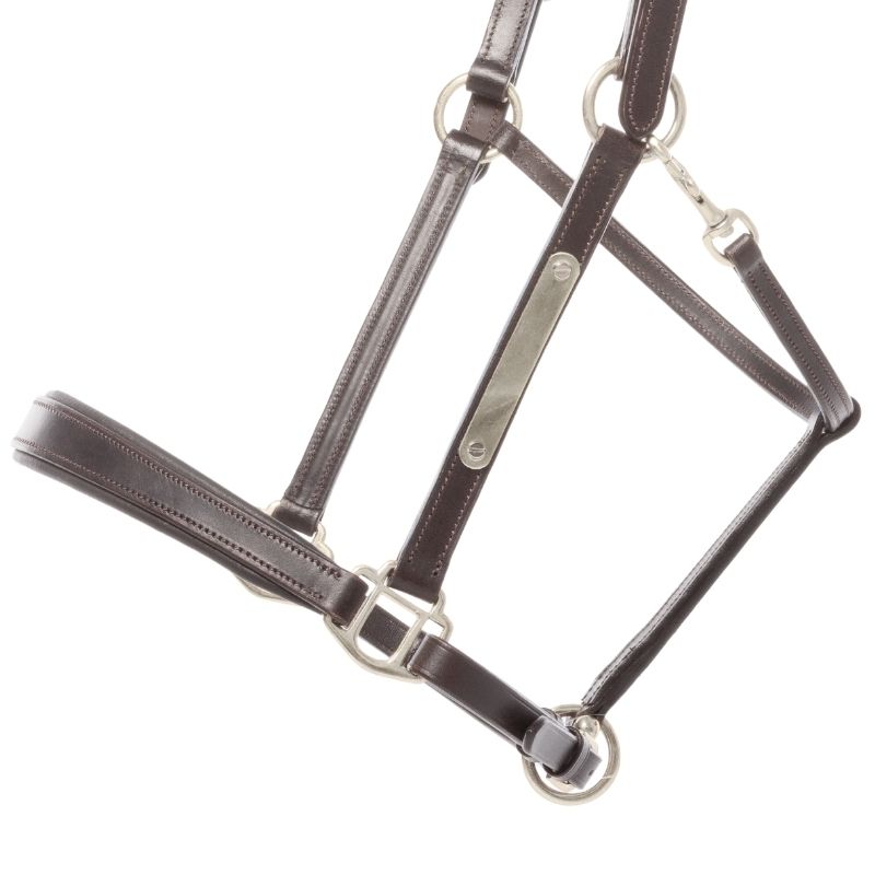 Licol cuir "Bennet"