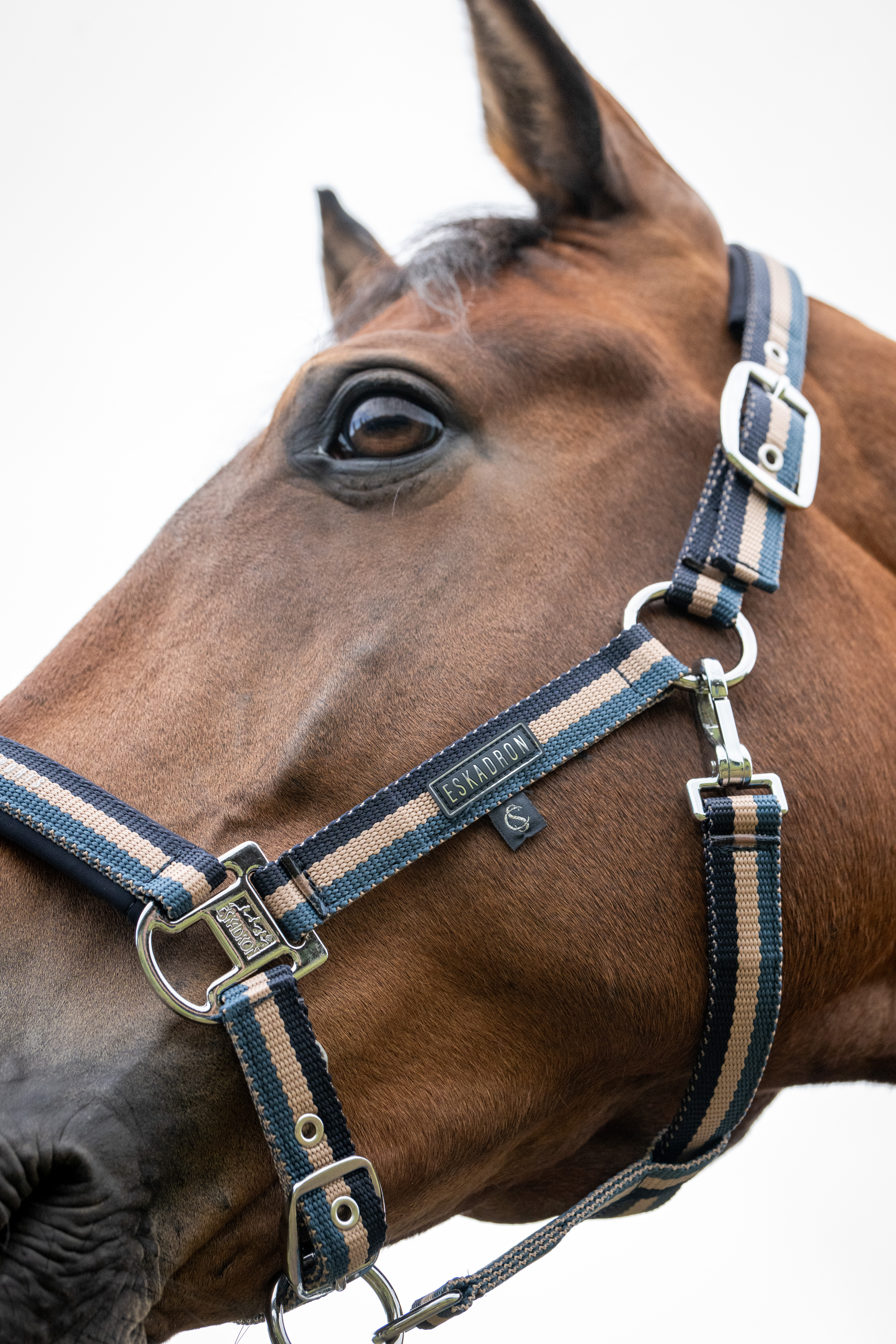 Halfter Classic Sports Double Pin