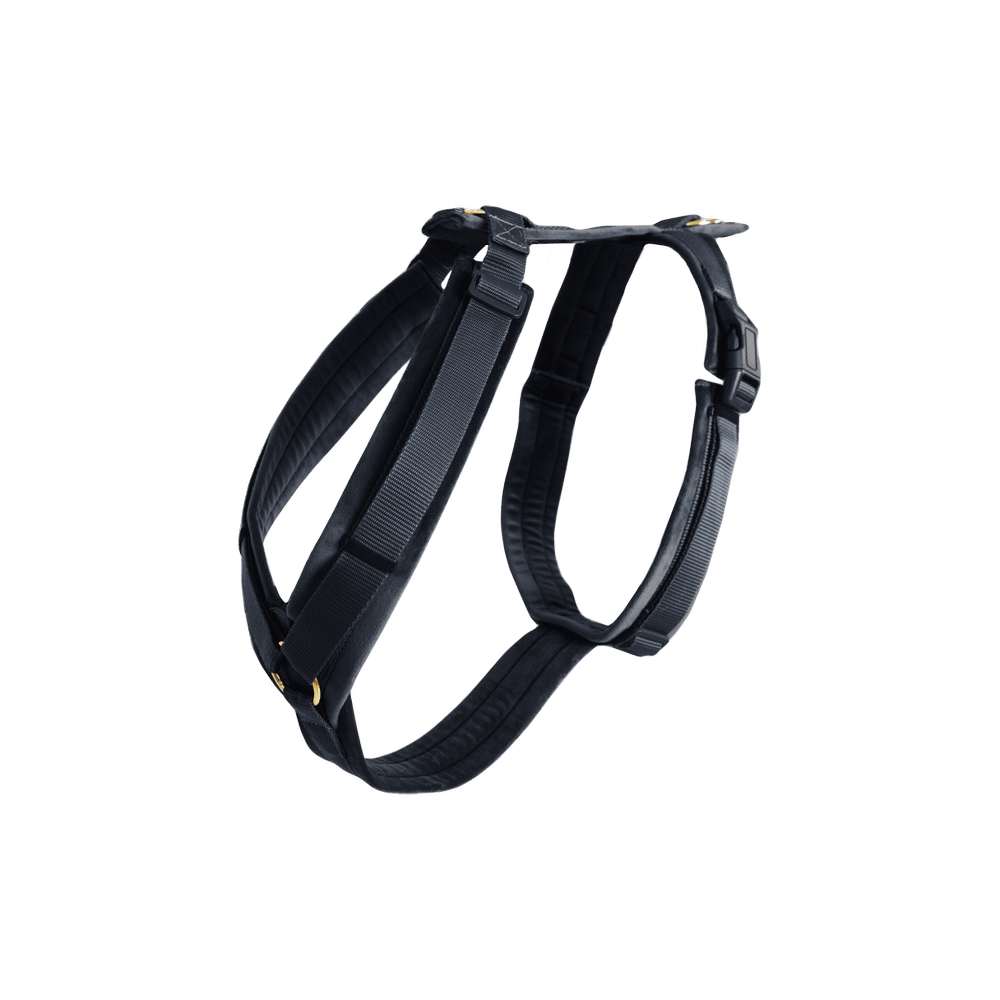 Harnais pour chien Aktiv Velvet