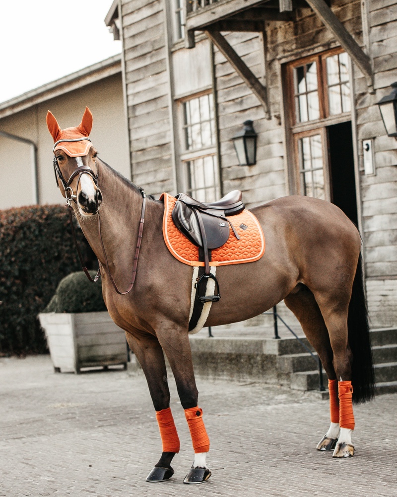Jumping saddle pad Velvet