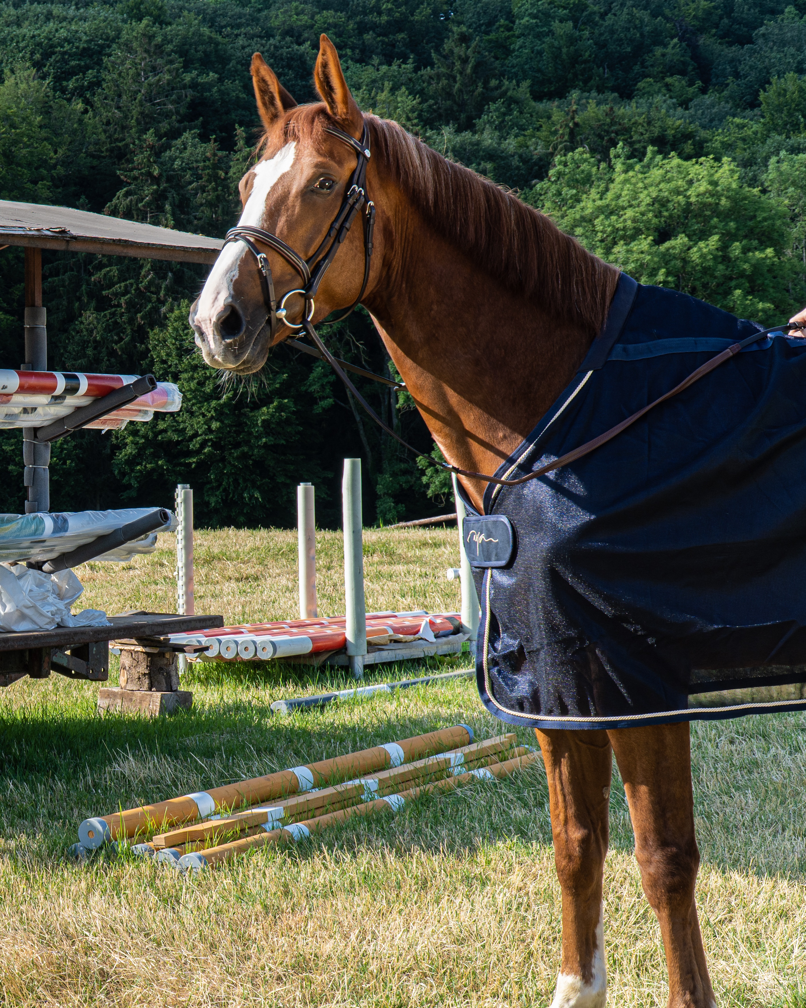 Snaffle Working combined