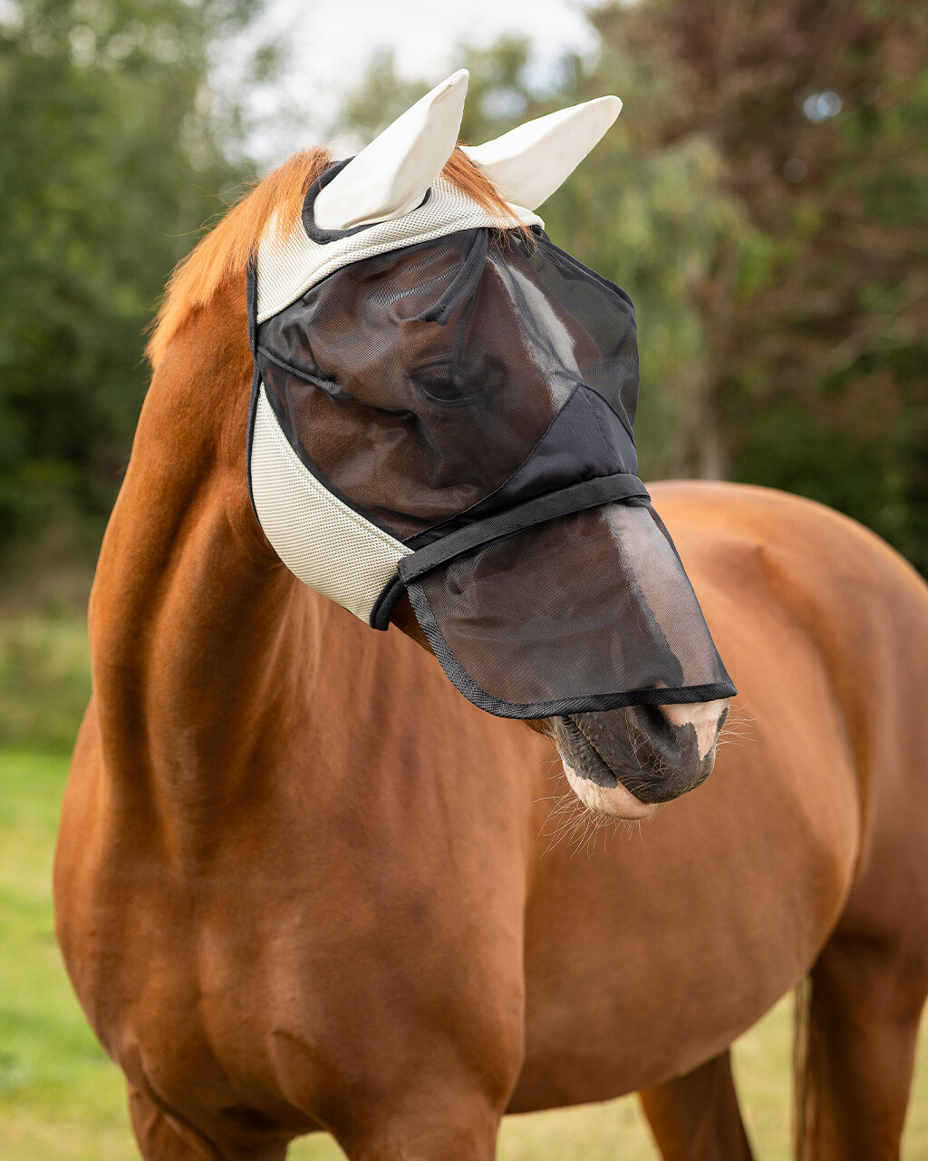 Fly mask with removable nose protection