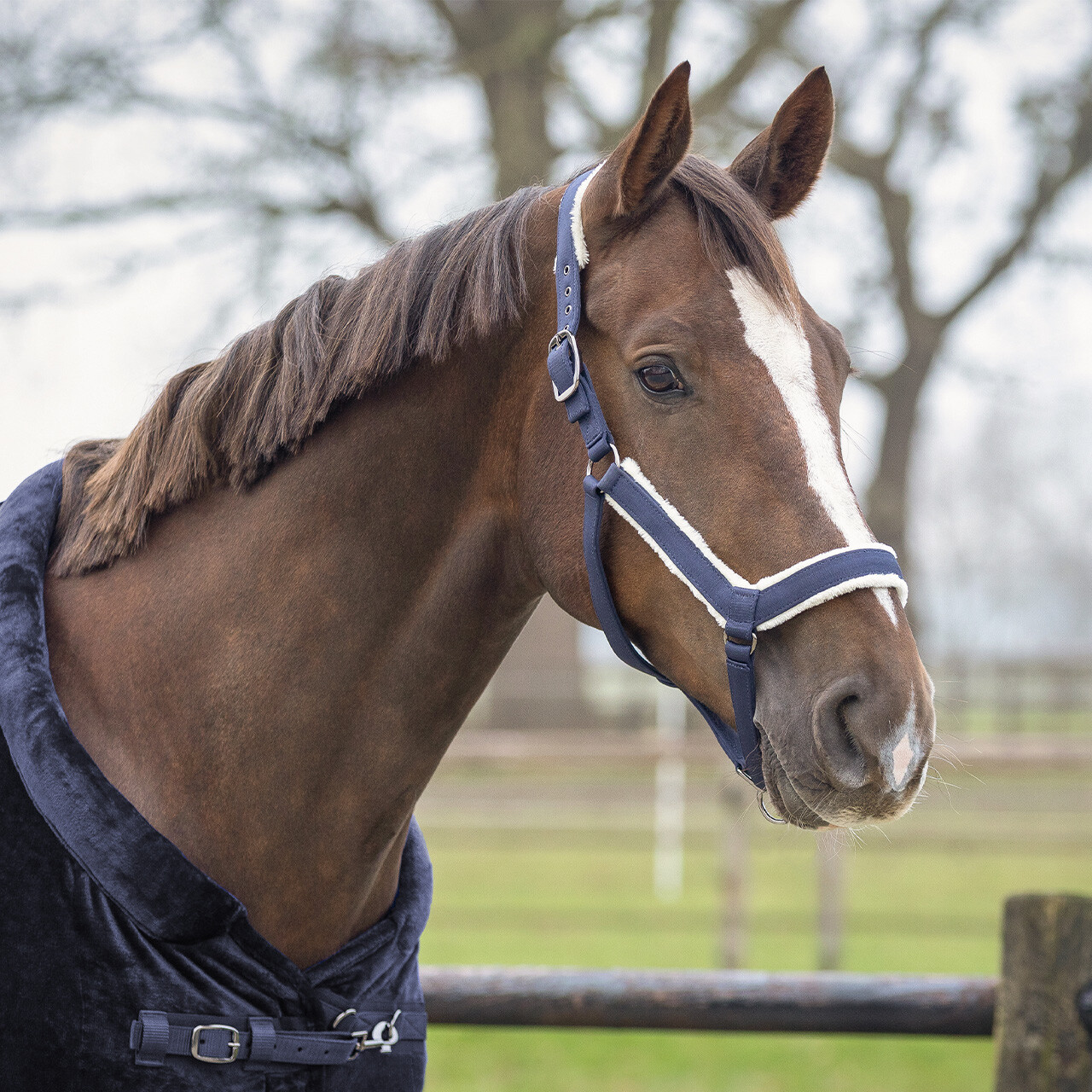 Halter set Sensisoft