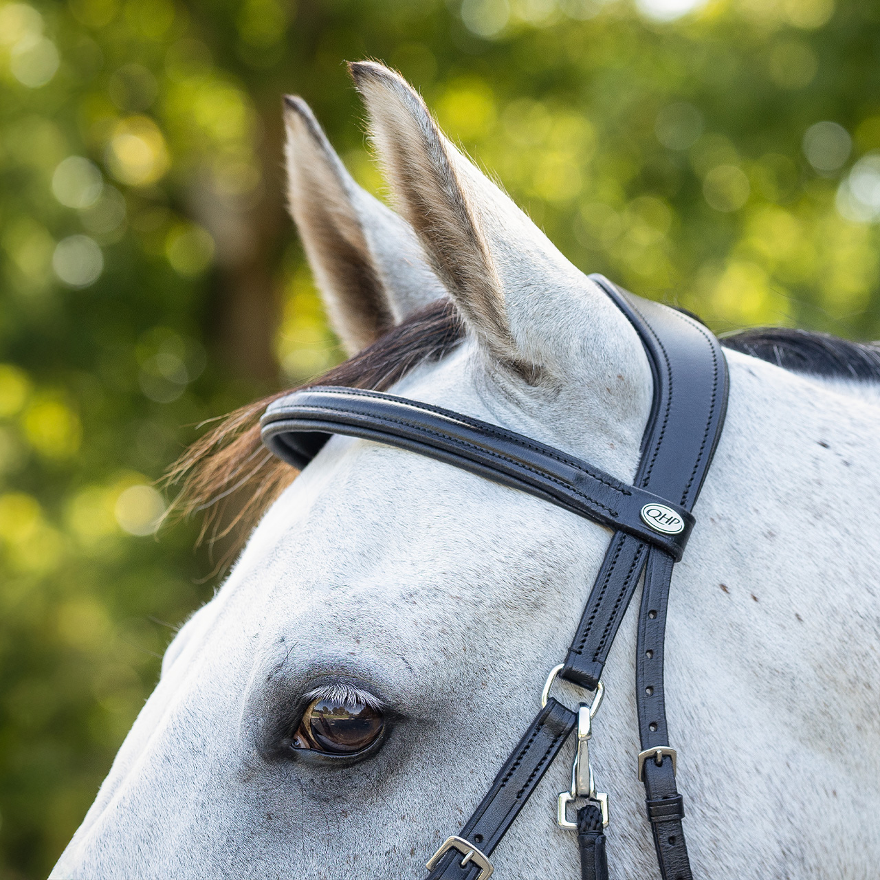Snaffle bitless Ceto