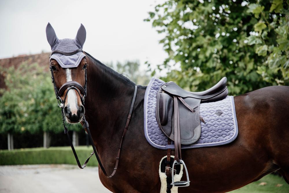 Fliegenhaube Wellington Velvet