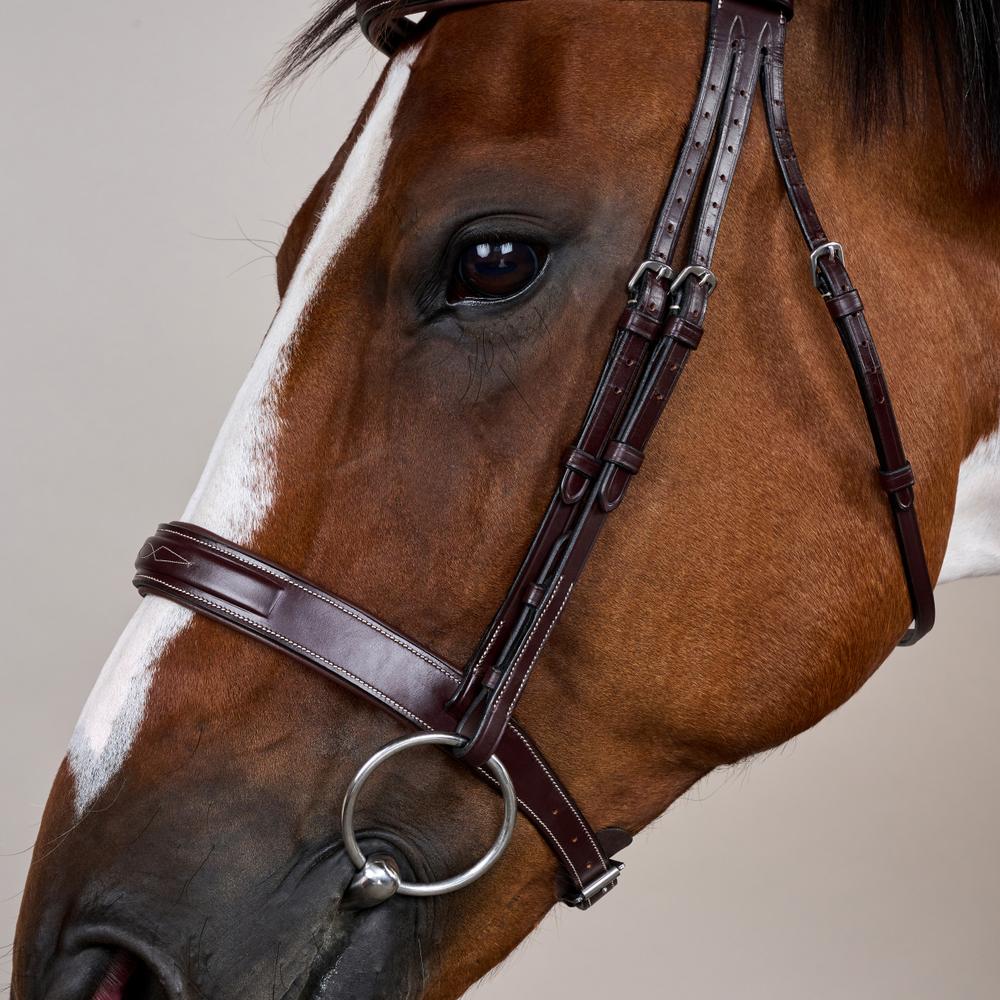 Hunter Trense mit breitem englischem Reithalfter US