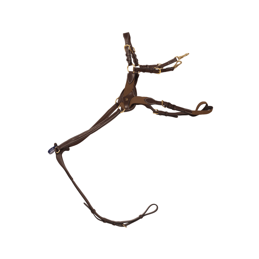 5-Punkt-Brustblatt mit Elastik | Dy'on