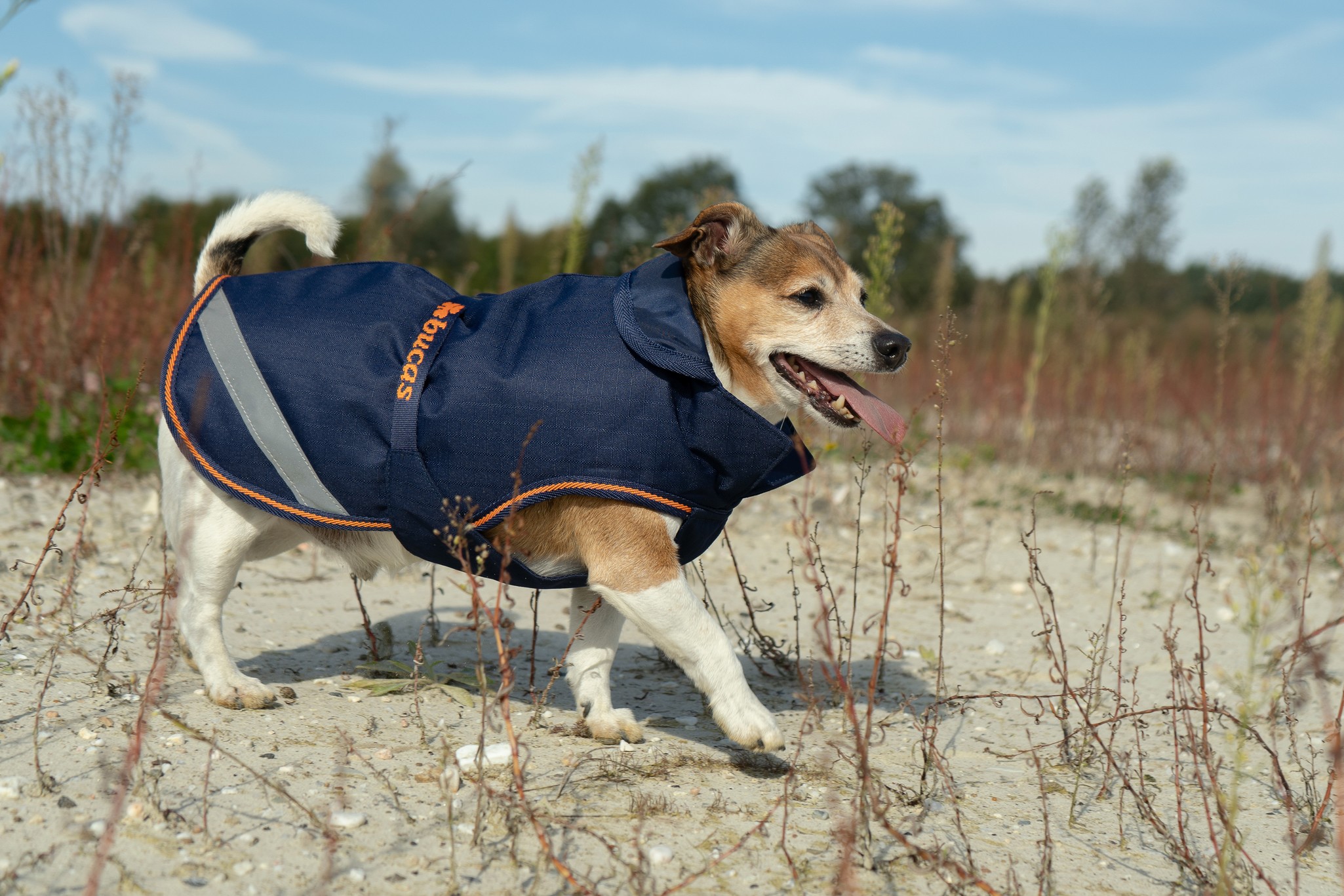 Hundedecke Therapy in Navy/Orange