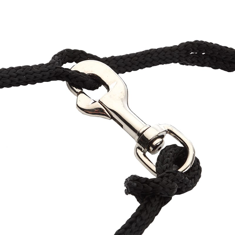 Phillips reins "Easy" - Nylon