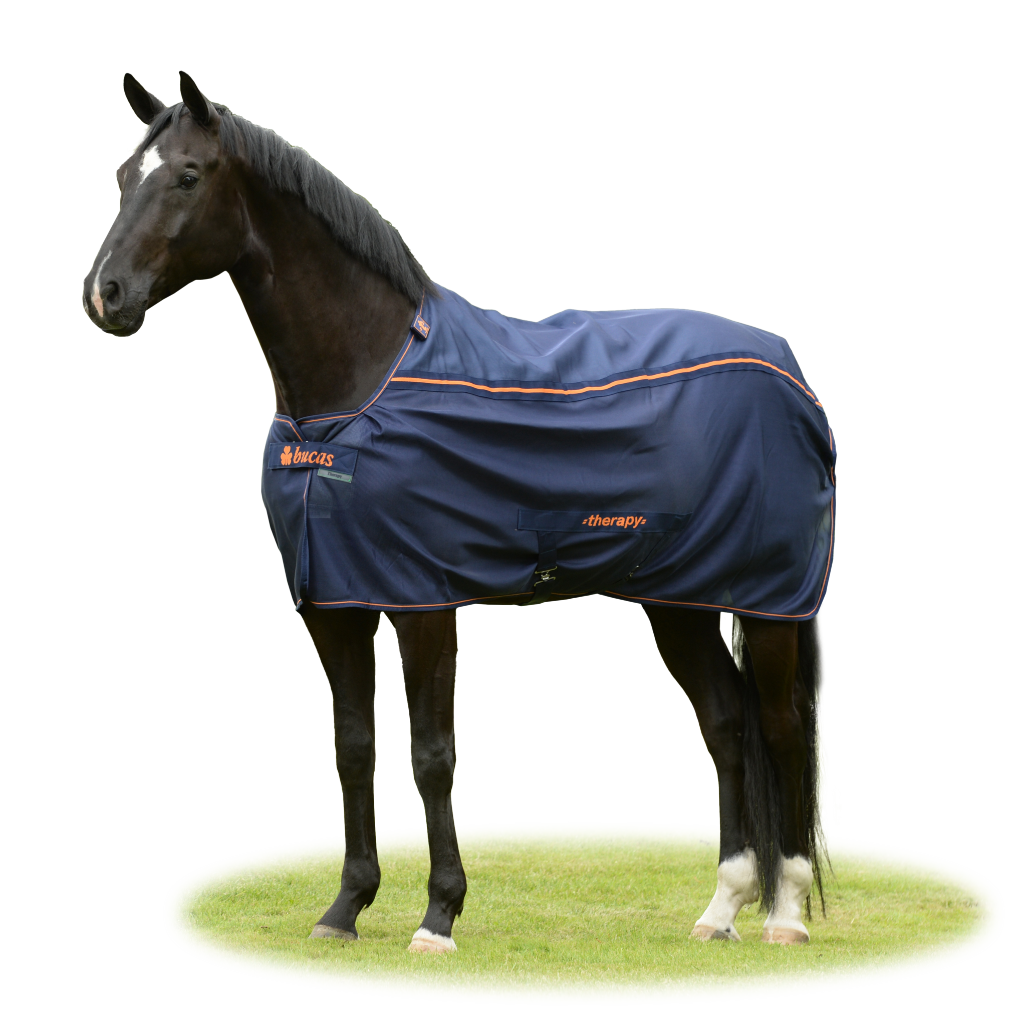 Abschwitzdecke Therapy Mesh Cooler in Navy/Orange