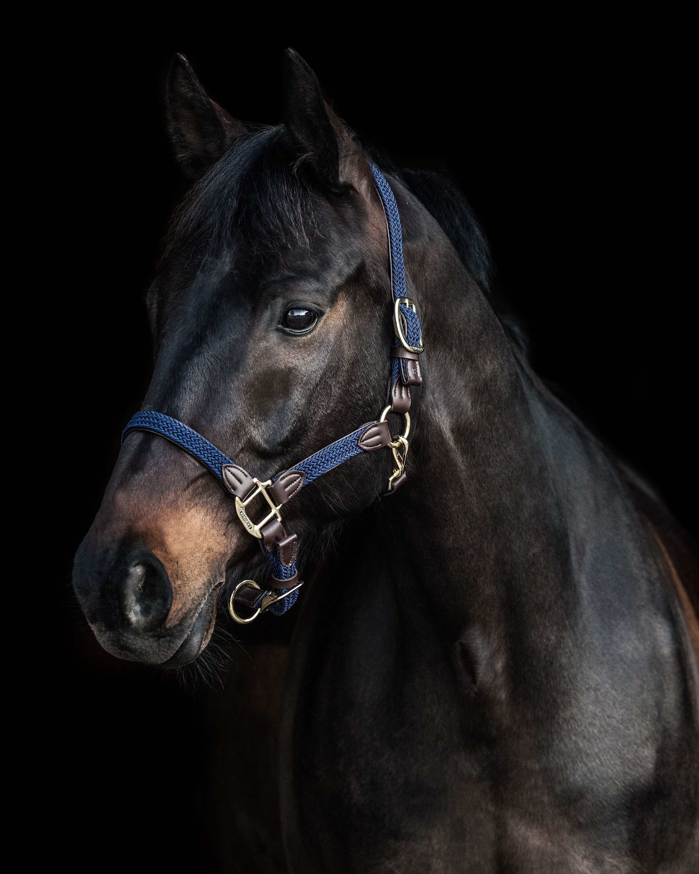 Halter Braided Nylon