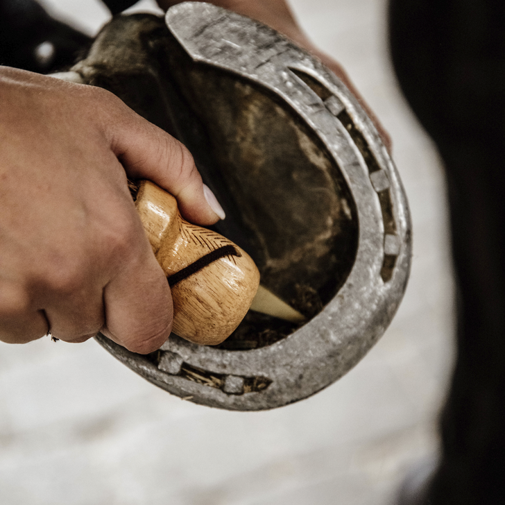 Hoof scraper small