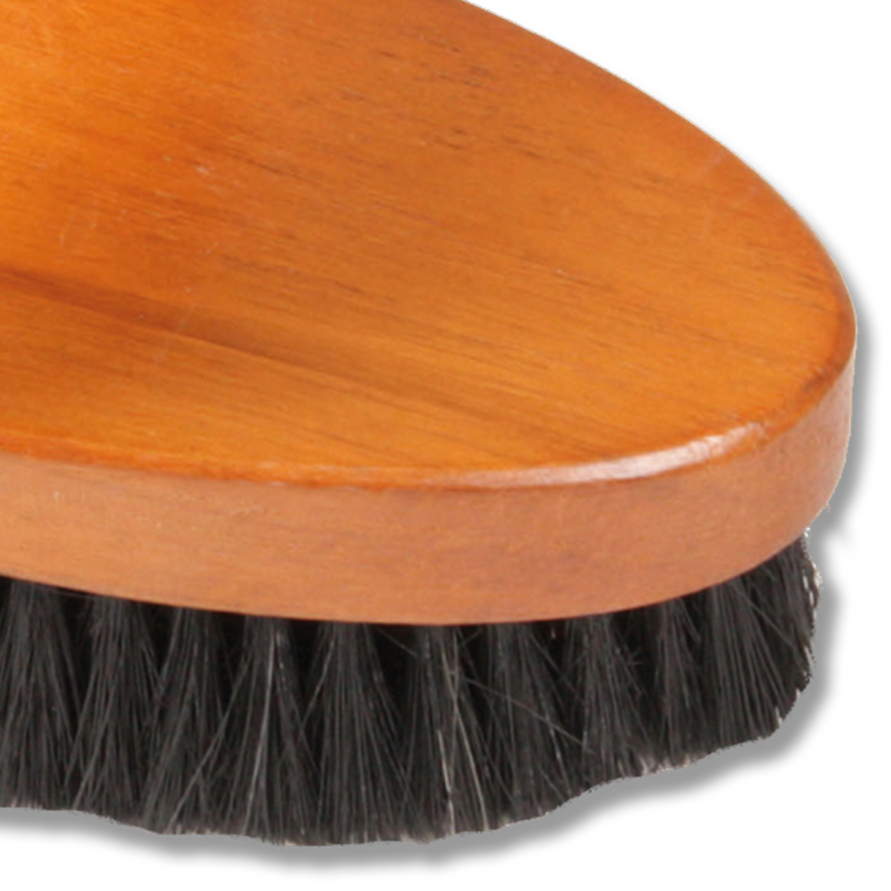 HW Kardätsche 19 cm, harte Borsten 3 cm