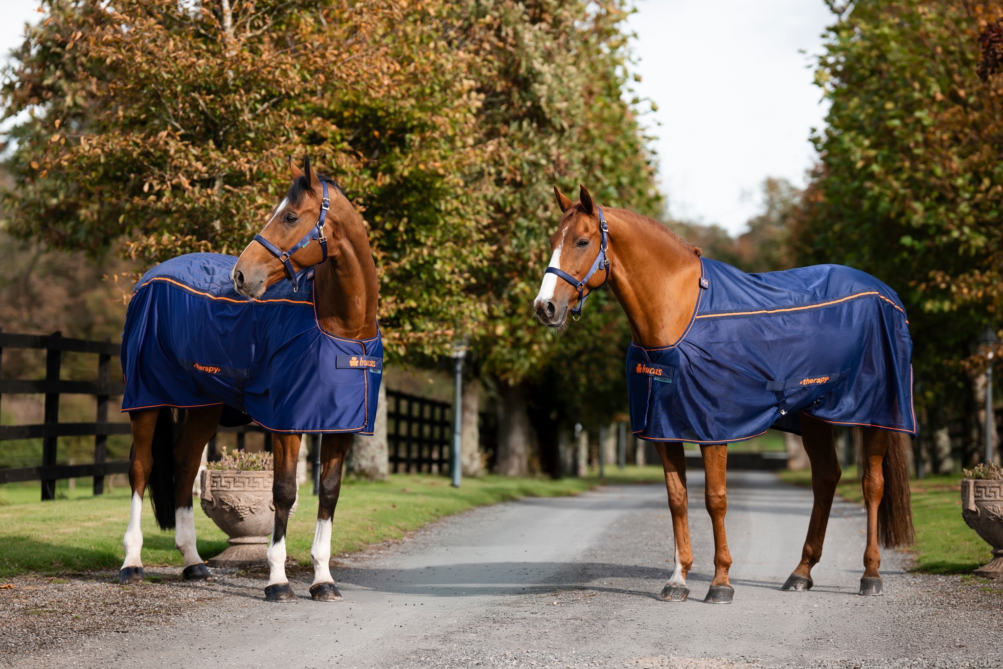 Abschwitzdecke Therapy Mesh Cooler in Navy/Orange