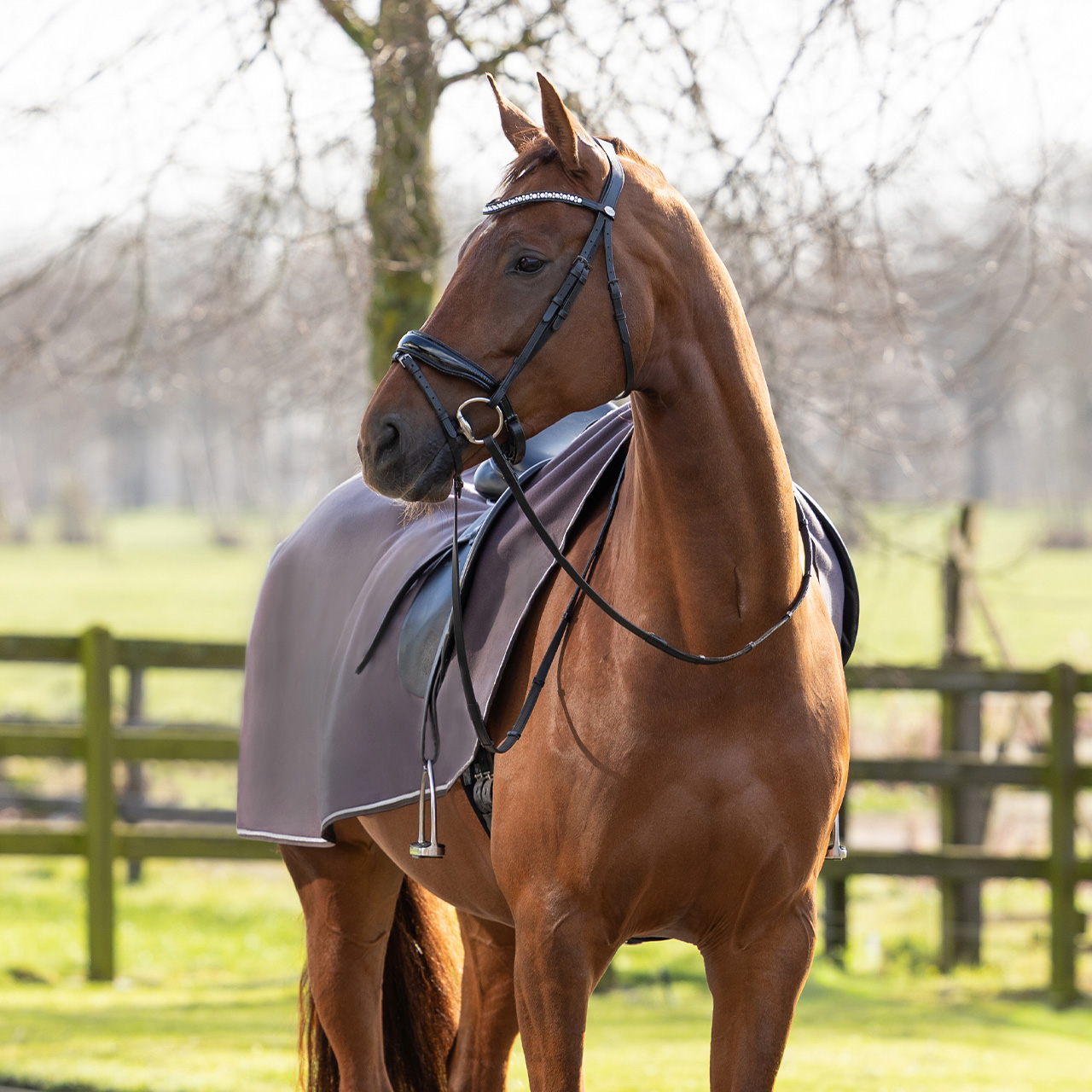 Riding rug fleece with ornament