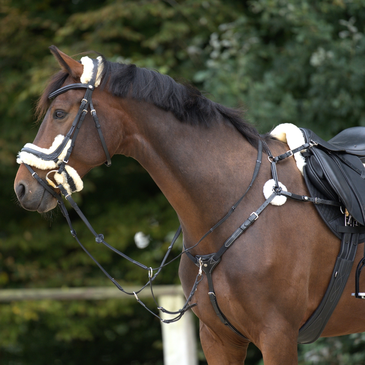 Breastplate "Bianca" 5-pt. with elastic