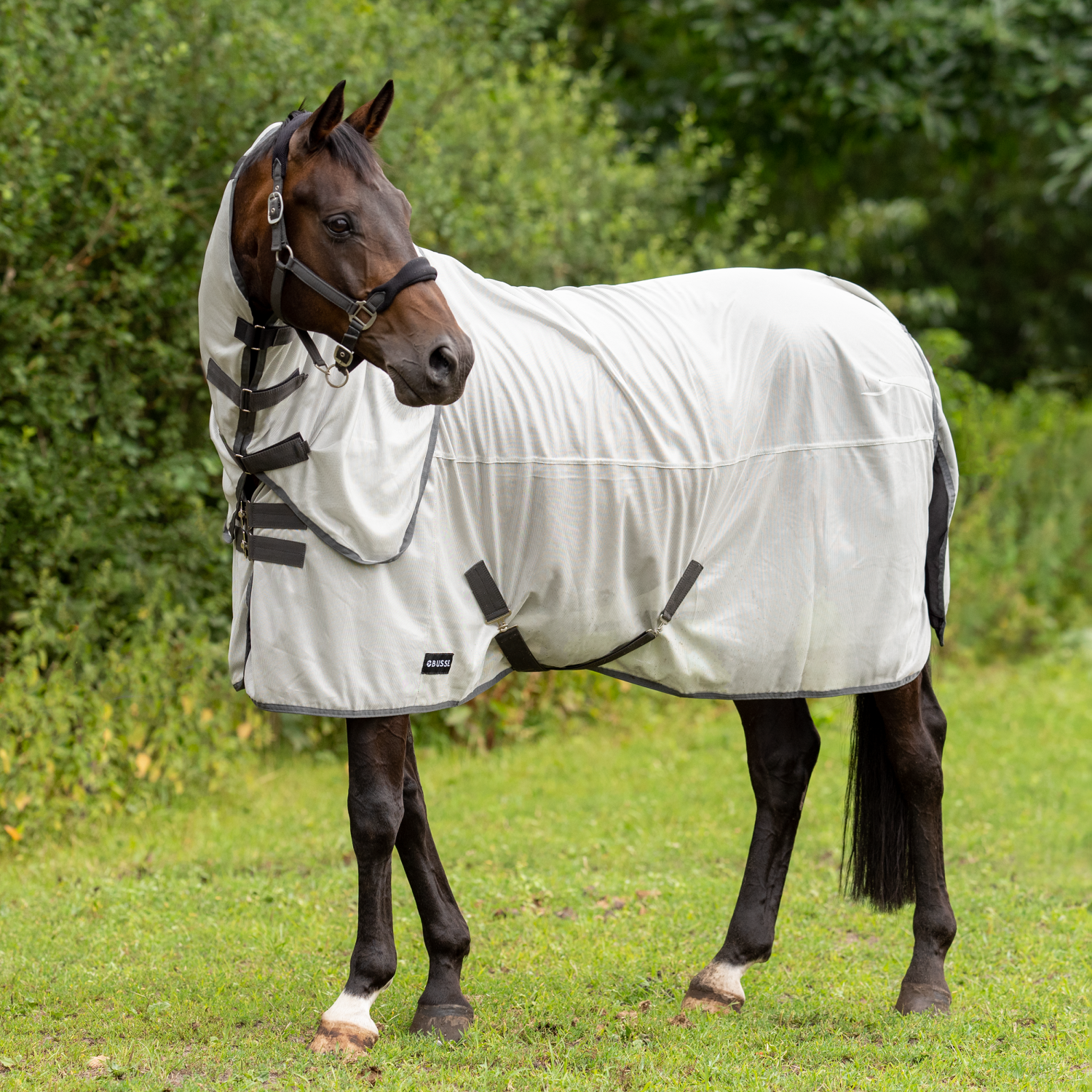 Sunshine II outdoor fly rug