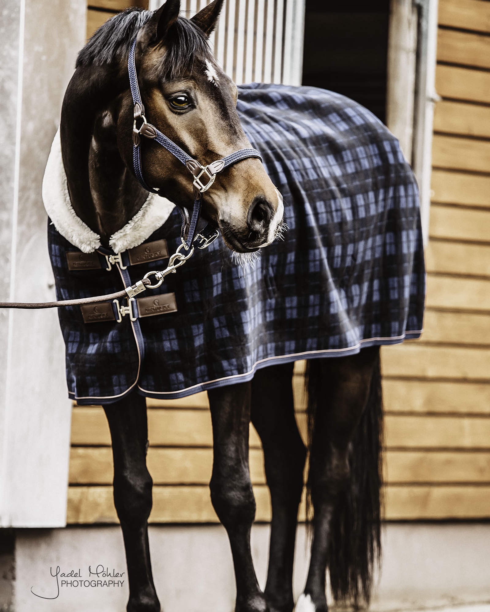 Fleece Show Heavy sweat rug