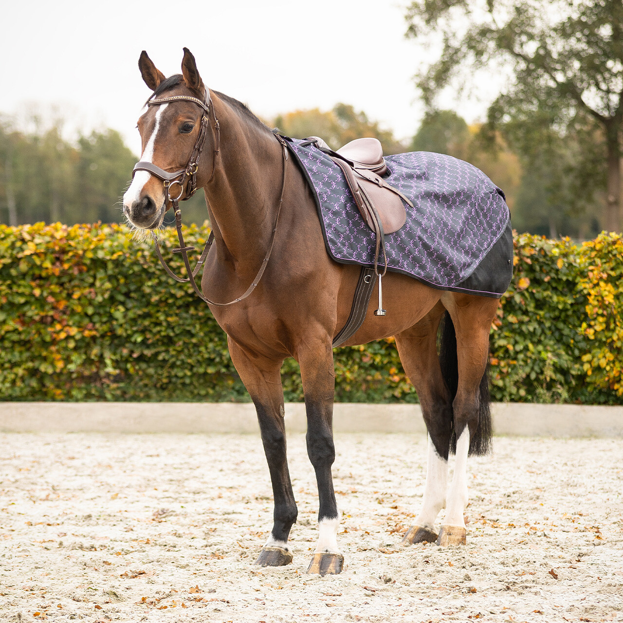 Ausreitdecke 1200D Turnout Collection Fleece