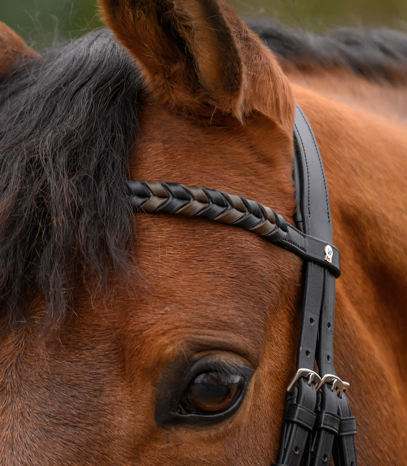 X-Line Browband Braided, black