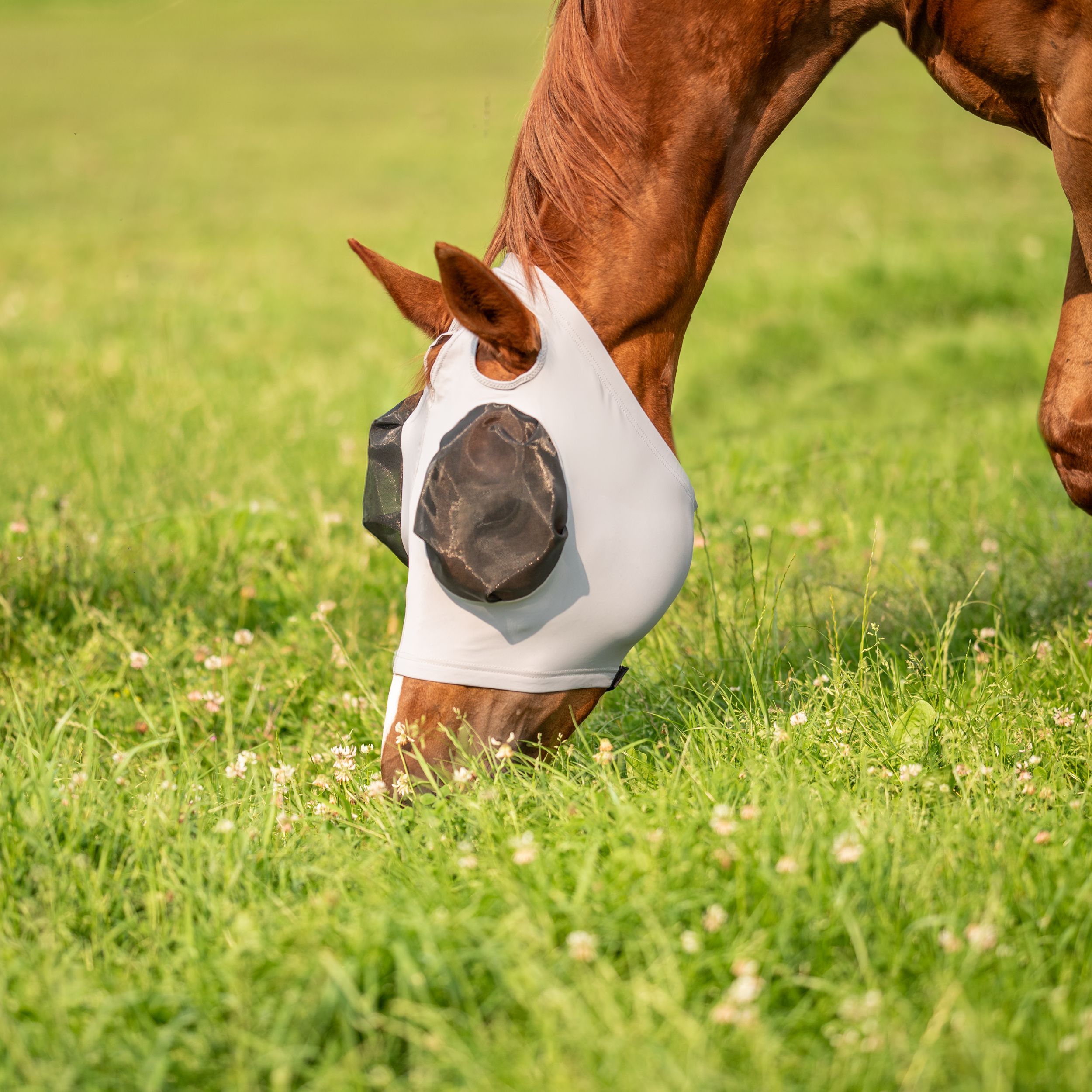 Fly mask TWIN FIT FLEXI OO