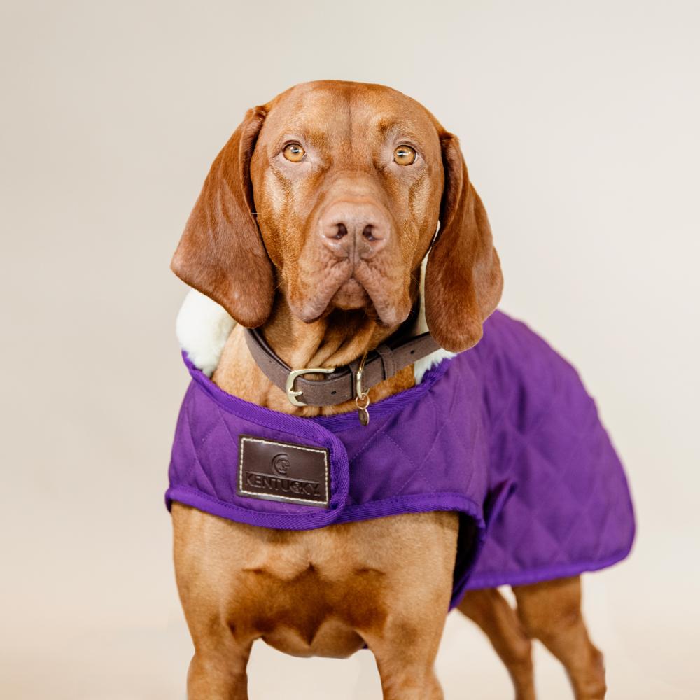 Hundemäntel Original