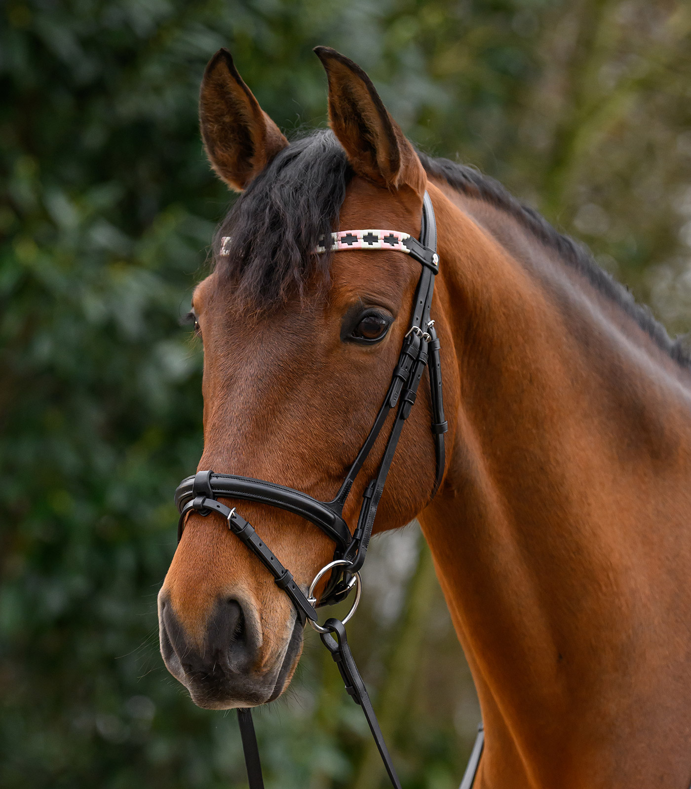 X-Line Stirnband Polo, schwarz