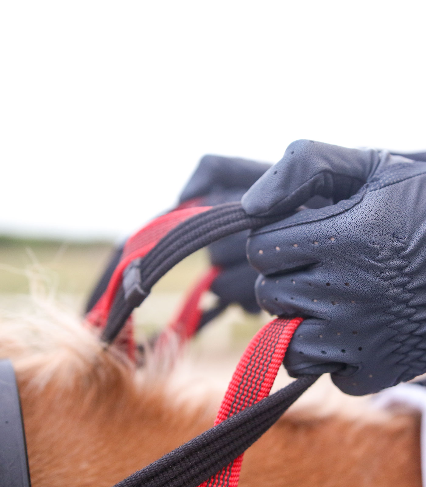 Breastplate with safety reins