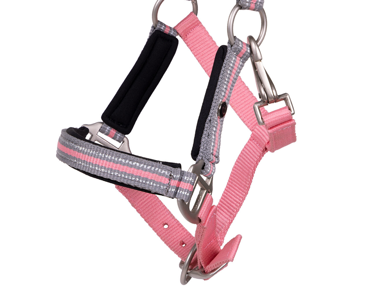 Foal halter Flore with headband