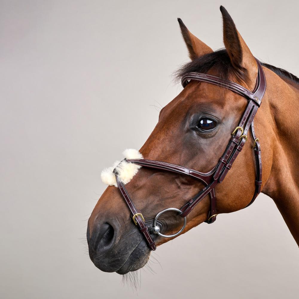 Trense mit mexikanischem Reithalfter DY | Dy'on