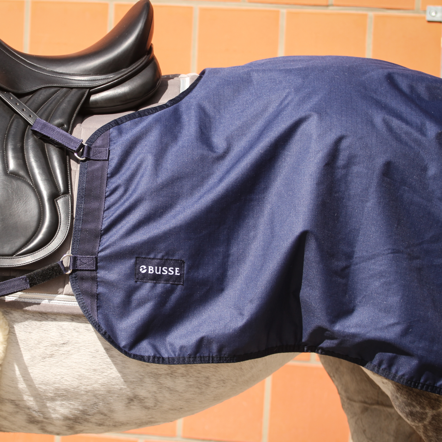 Rain 50 training blanket