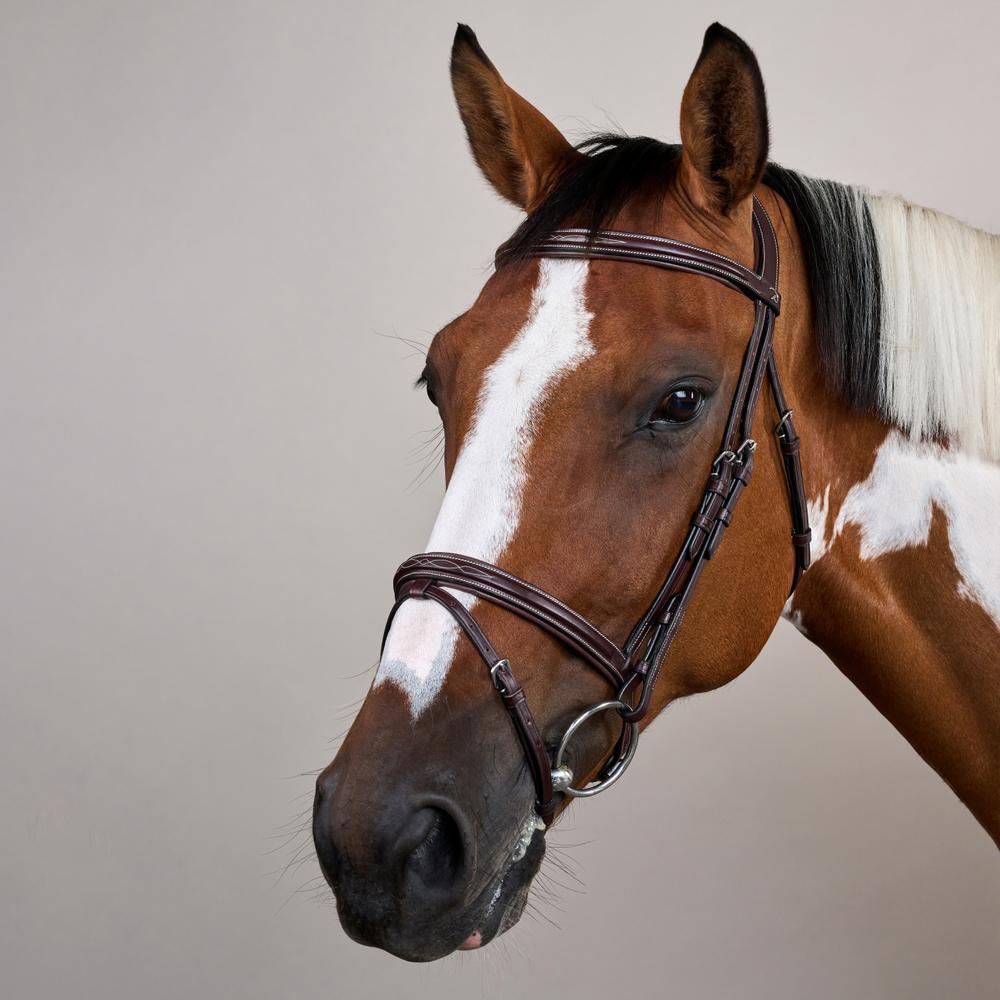 Trense mit kombiniertem Reithalfter US