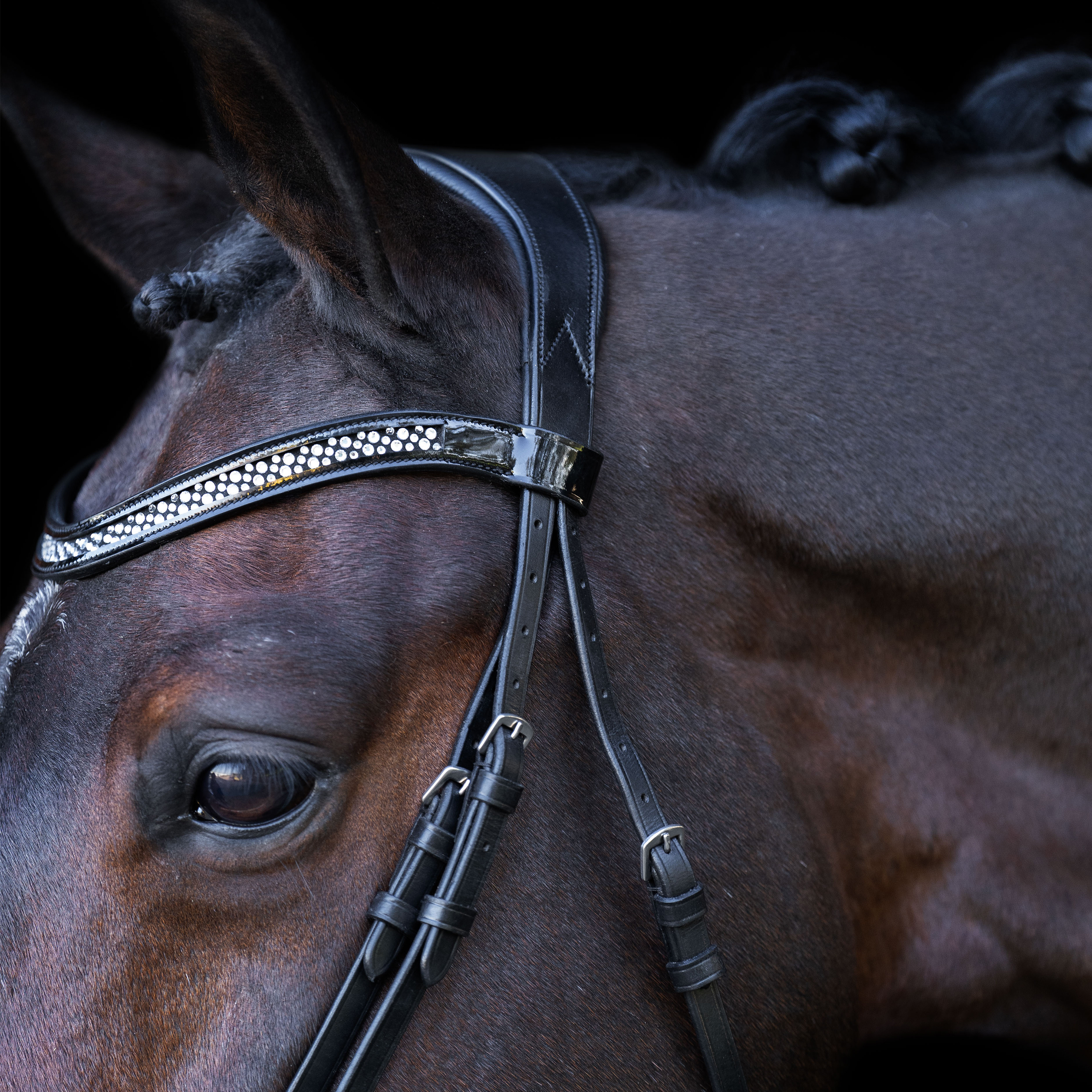 Snaffle bridle with English noseband