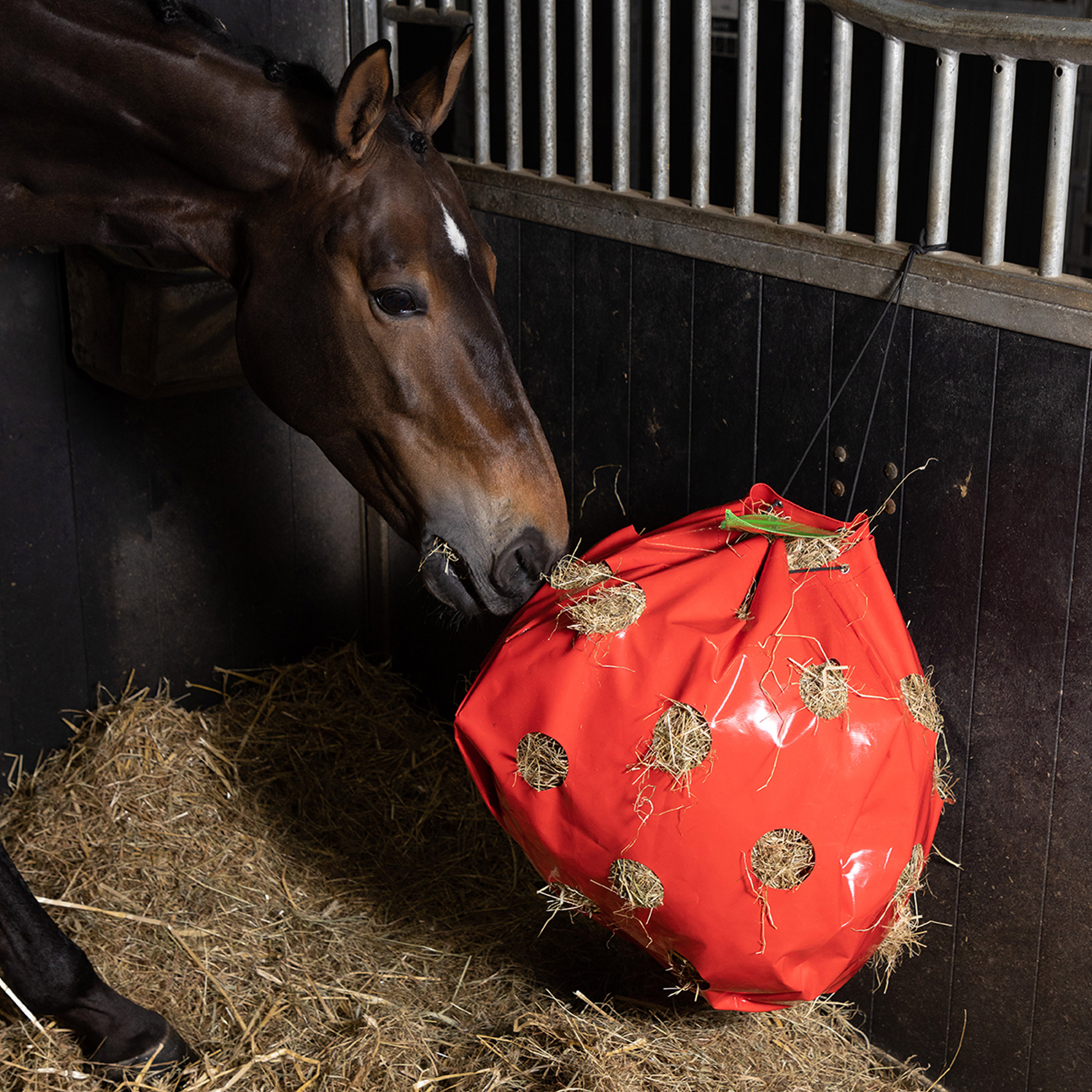 Heutasche Apple