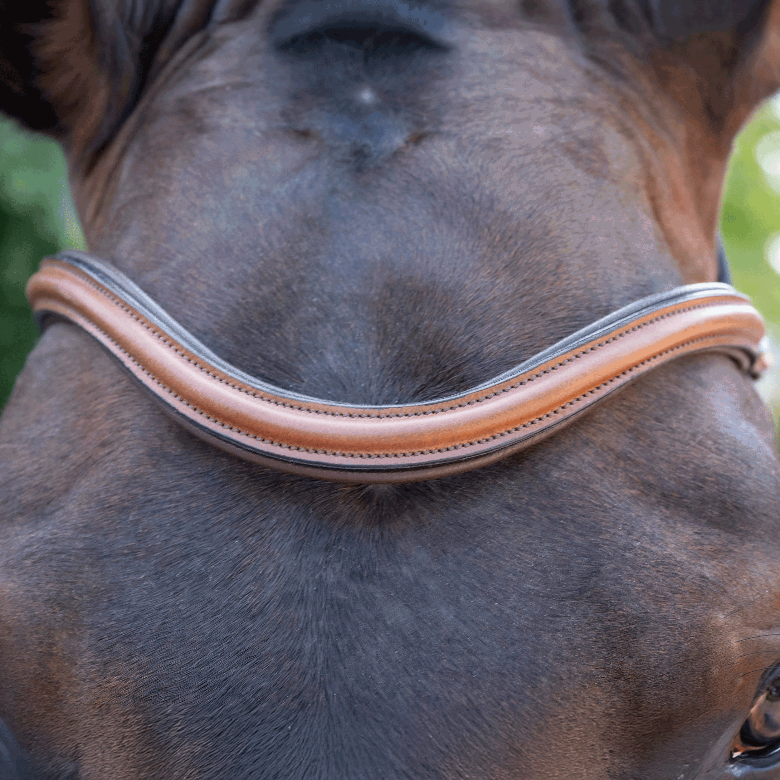 Browband CHOOSE IT