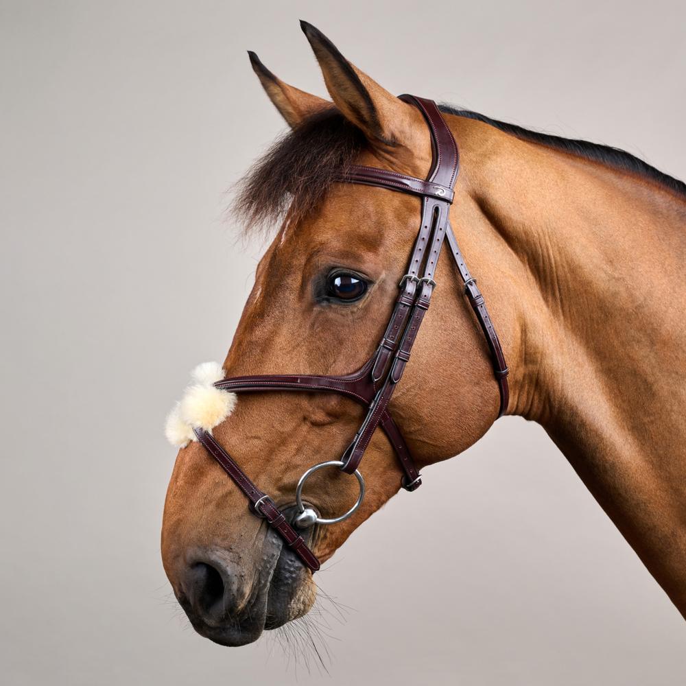 Trense mit mexikanischem Reithalfter NE