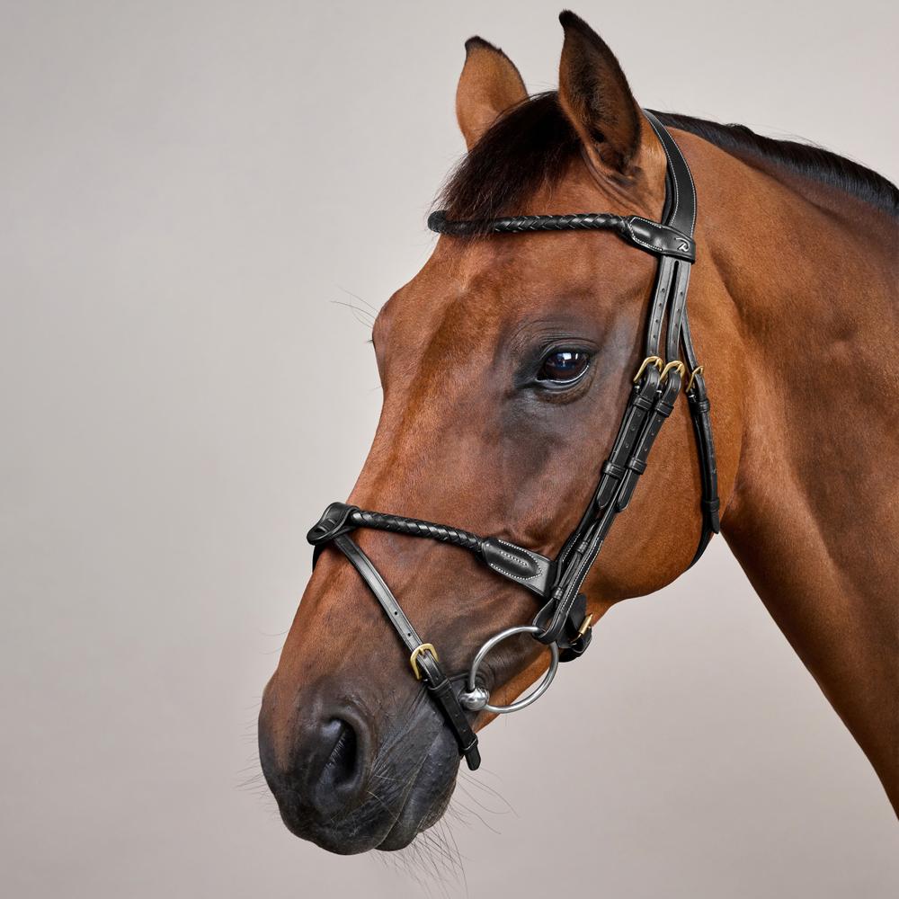 Rund geflochtene Trense mit kombiniertem Reithalfter DY | Dy'on