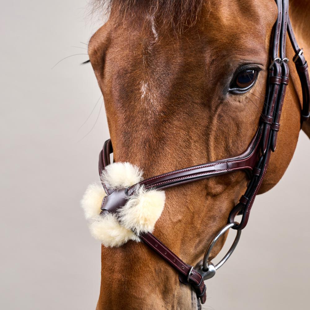 Trense mit mexikanischem Reithalfter NE