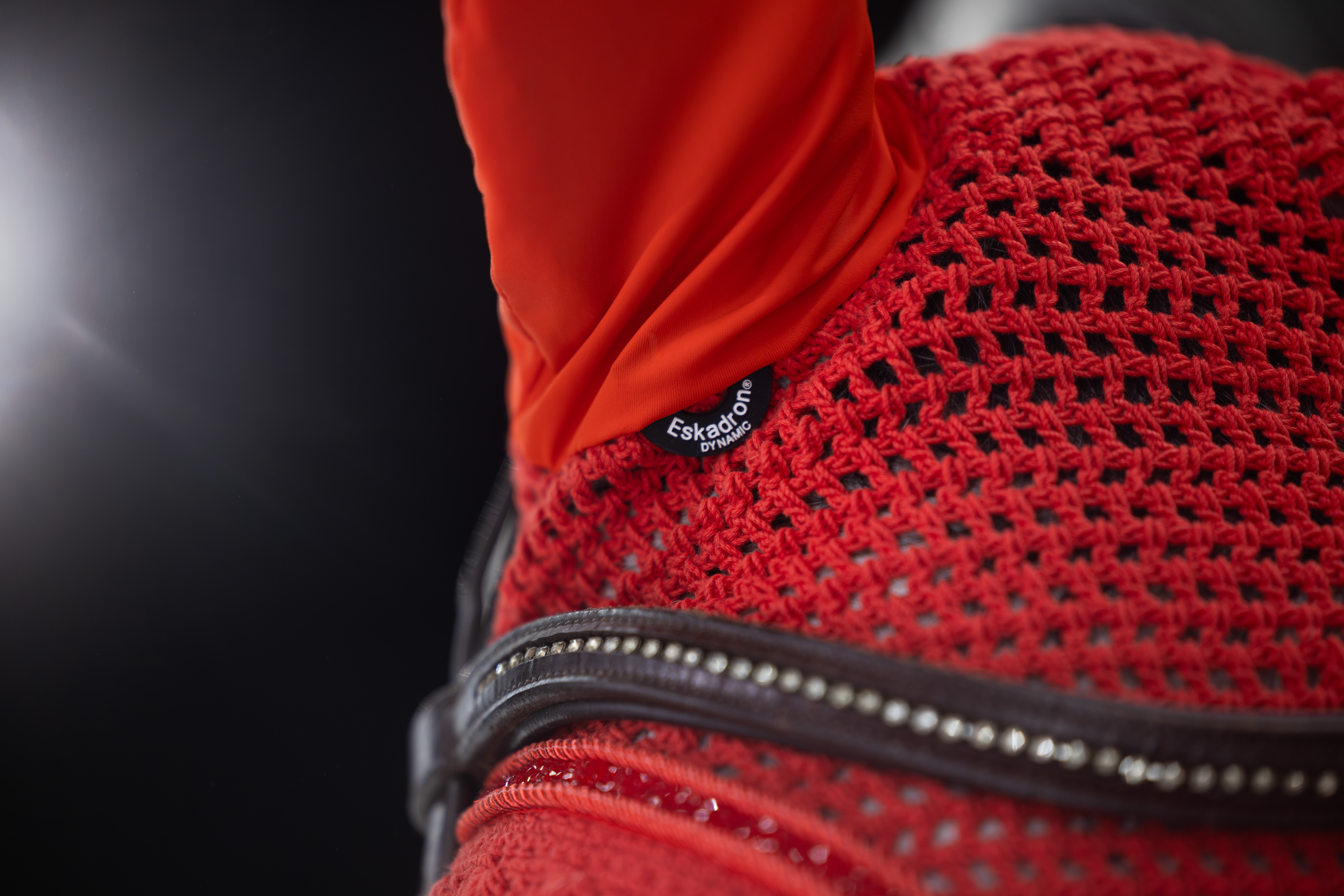 Fliegenohren Jewel Dynamic