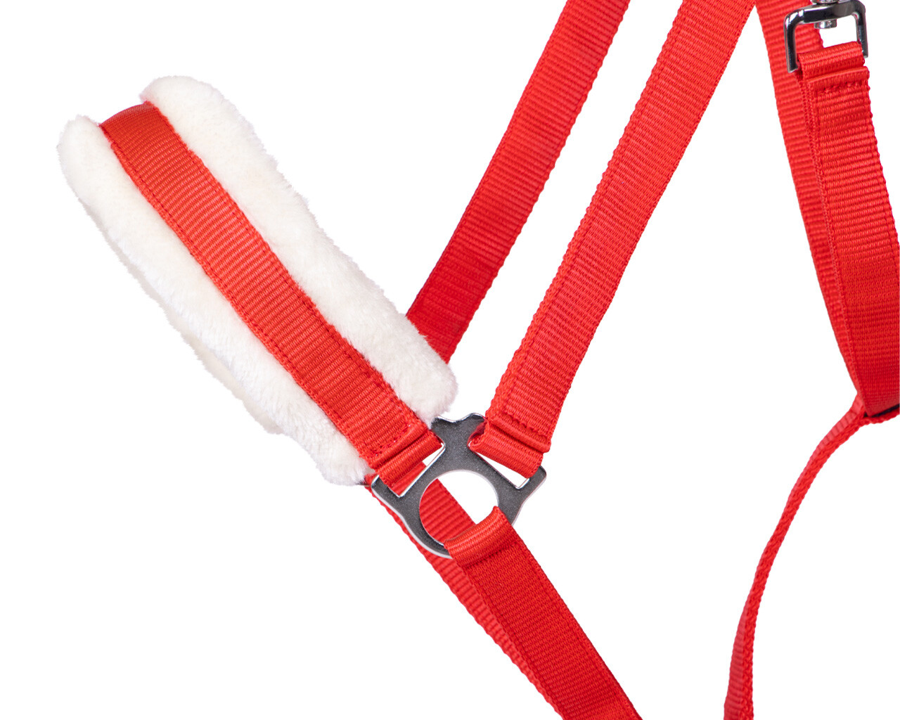 Halfter Cali Zugpferd