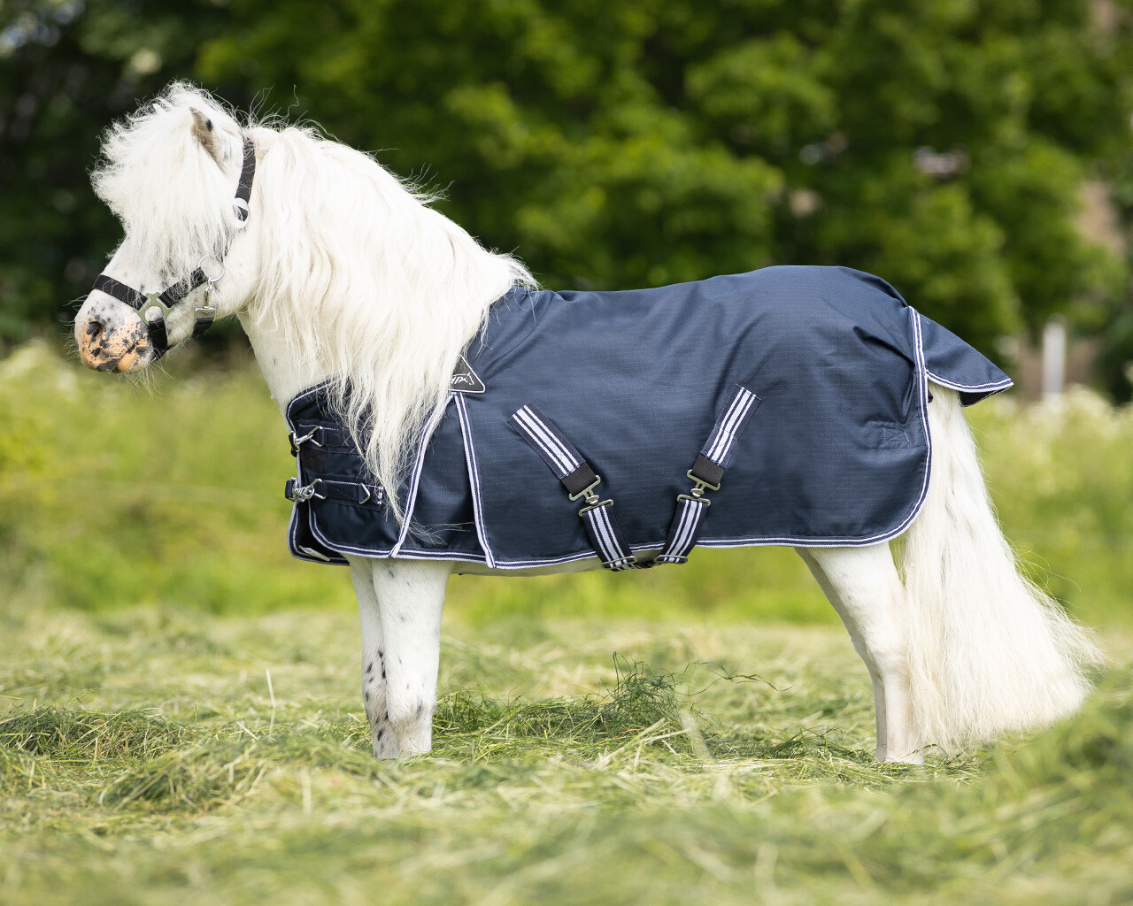 Outdoor rug Falabella turnout 200gr