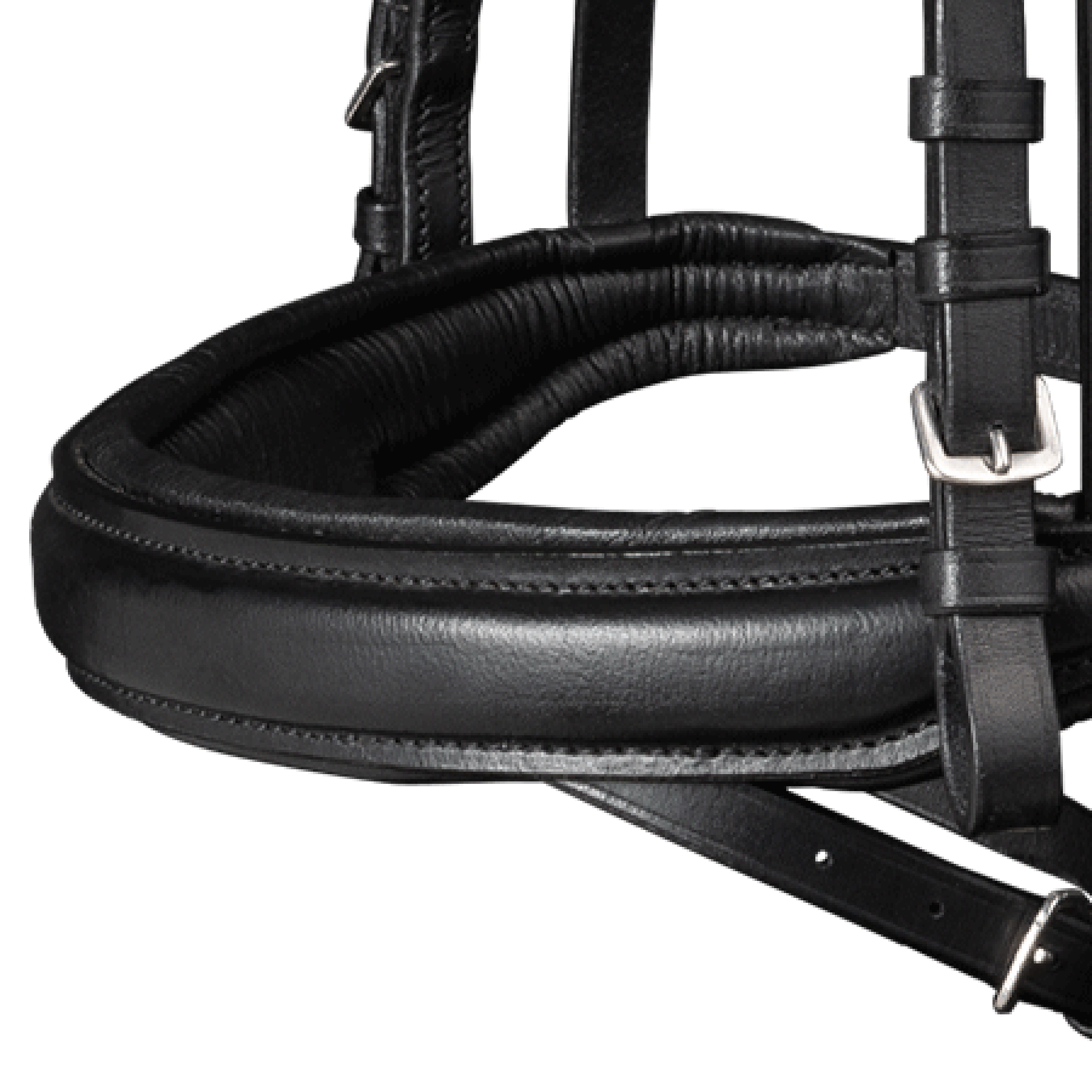 Trensenzaum X-Line Beauty, engl.komb.