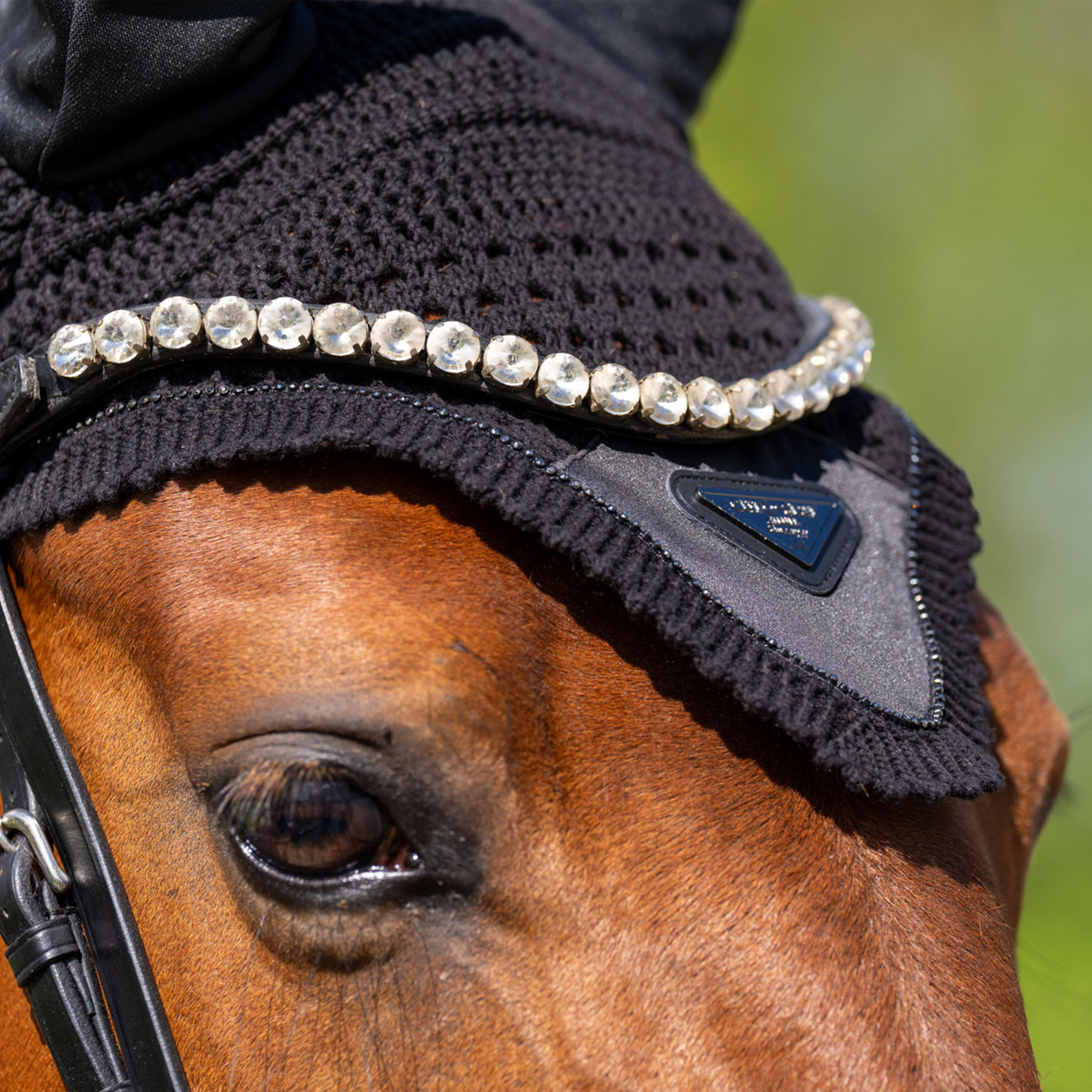 Fliegenhaube Cato
