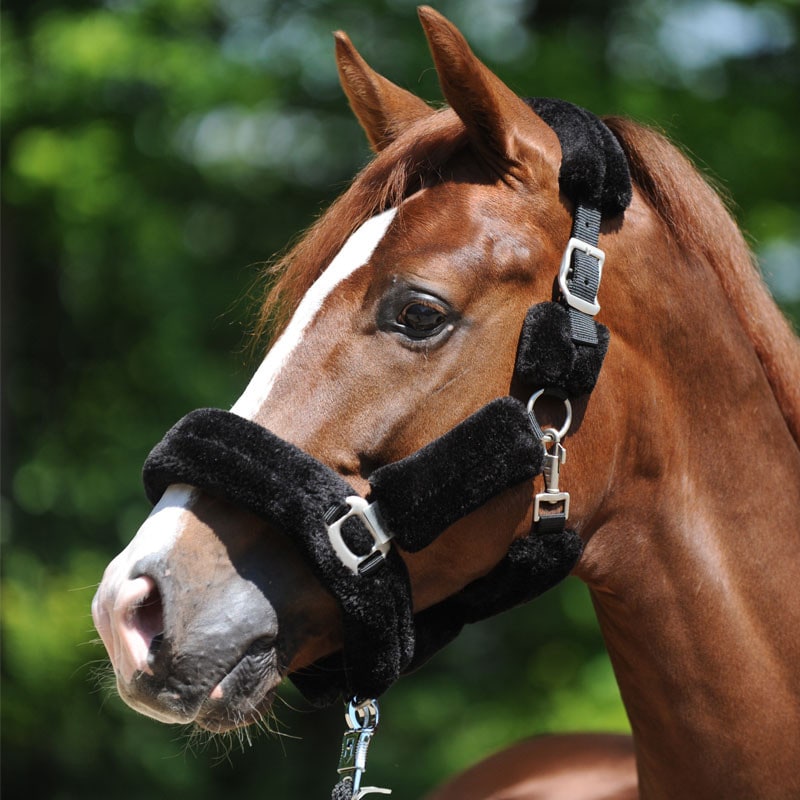 Transporthalfter - Kunstfell Transporthalfter - Kunstfell