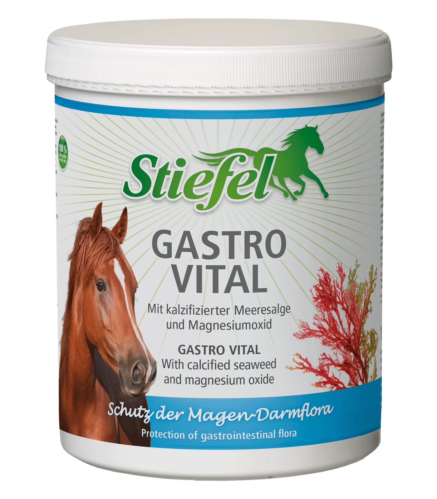 Gastro Vital 1kg