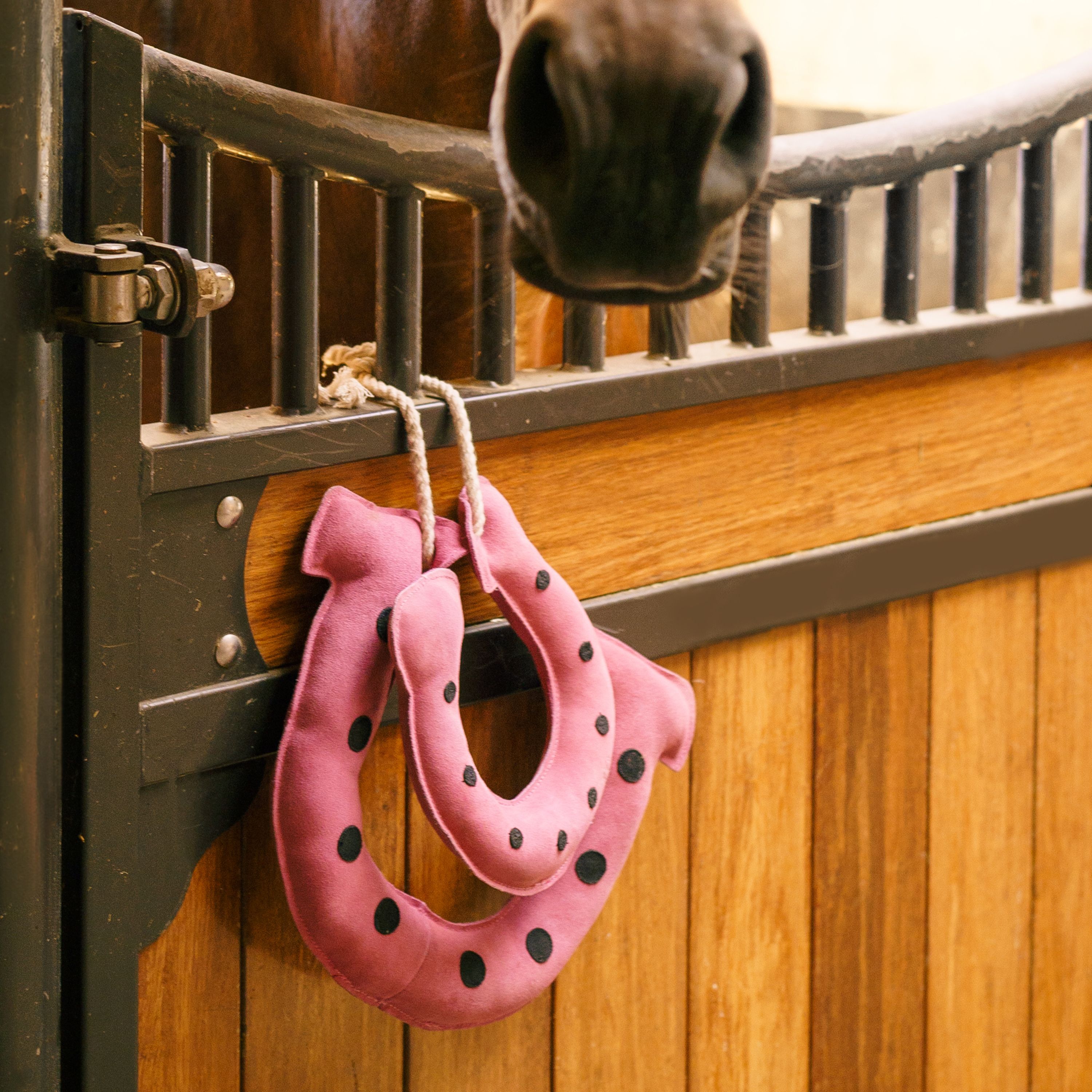 Stable buddy Horseshoes