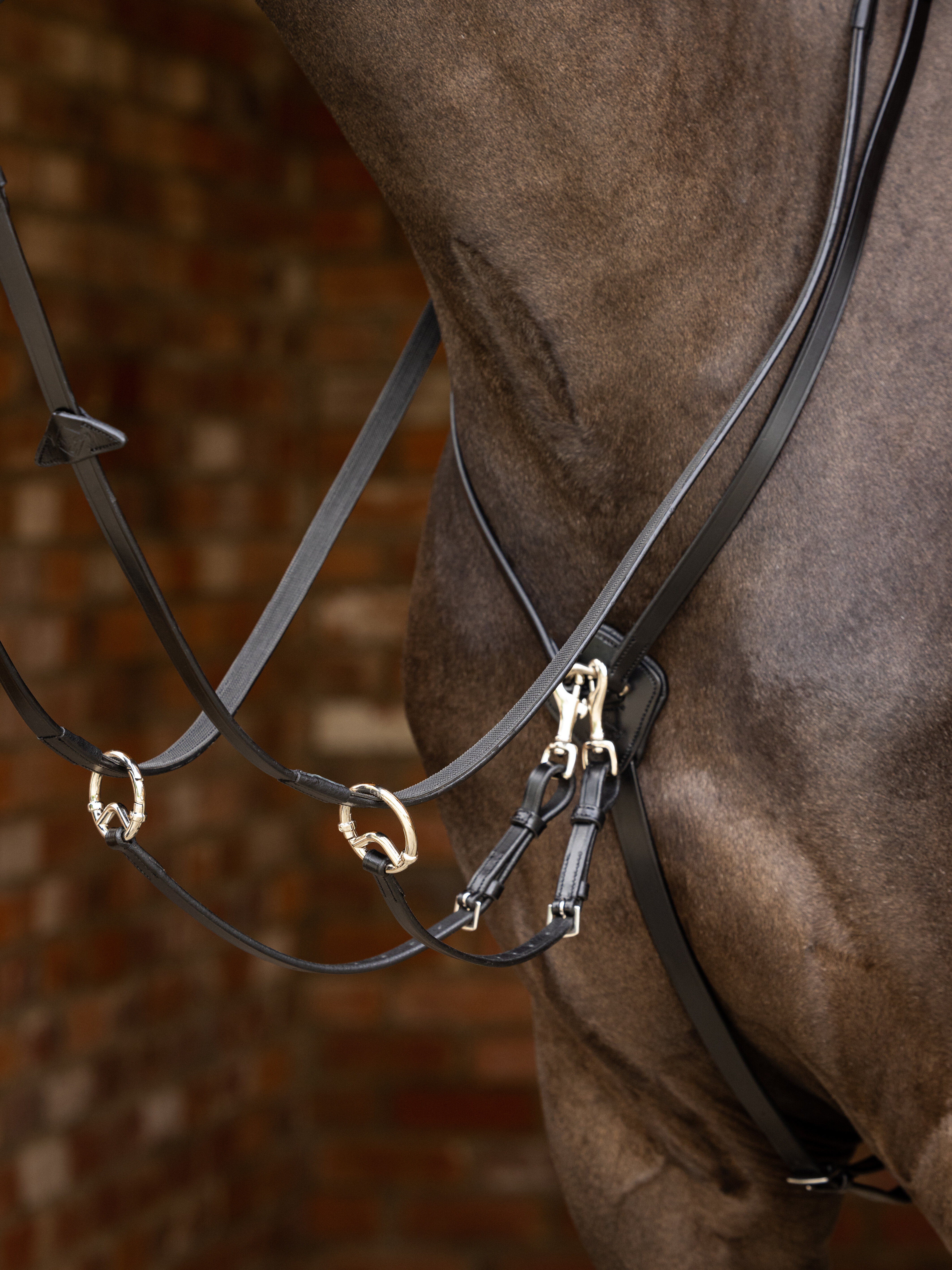 Kudos Running Martingale