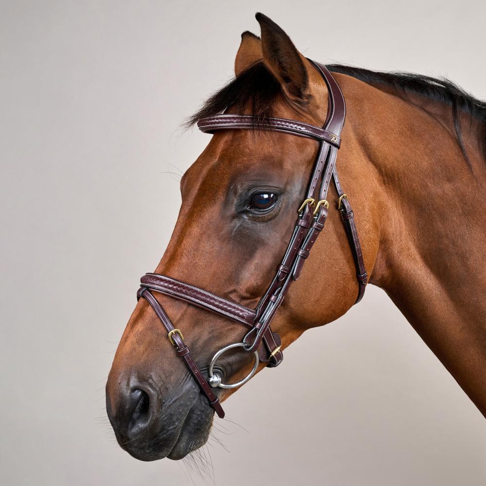 Geflochtene Trense mit kombiniertem Reithalfter DY | Dy'on
