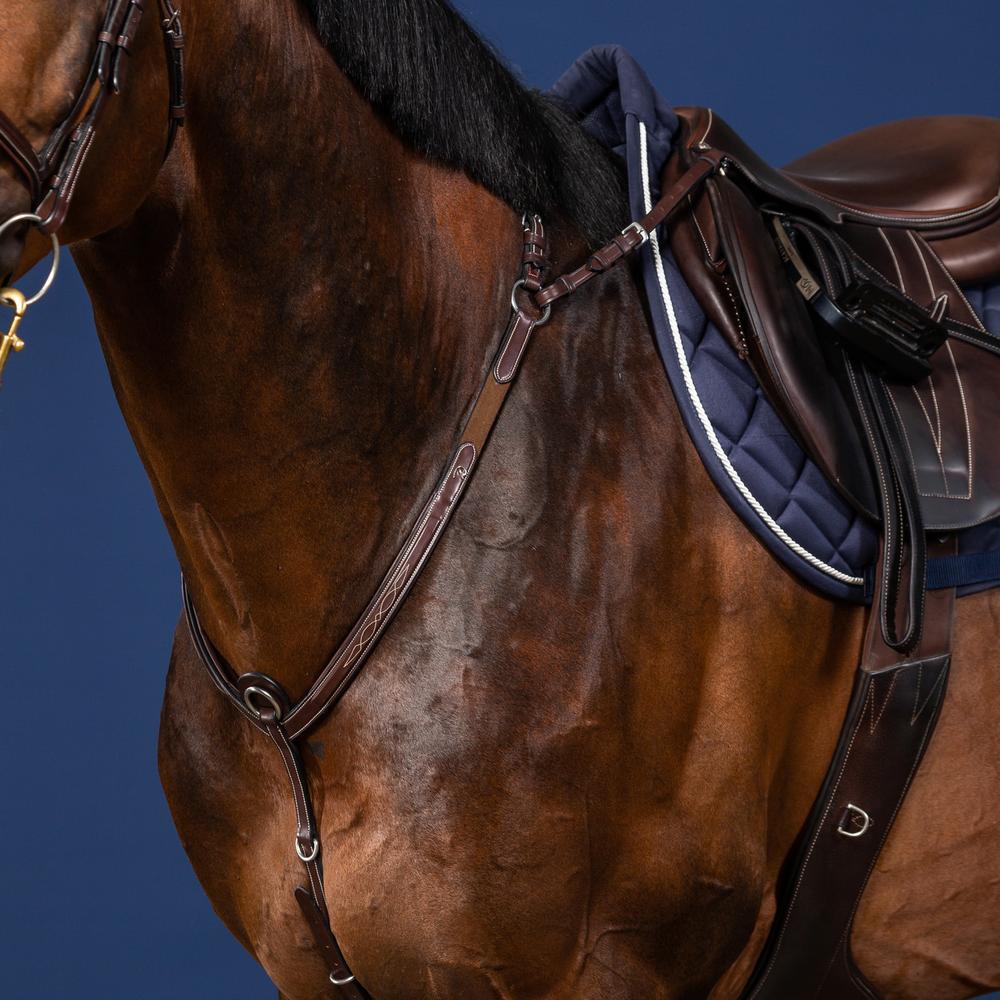 Vorderzeug mit Brücke